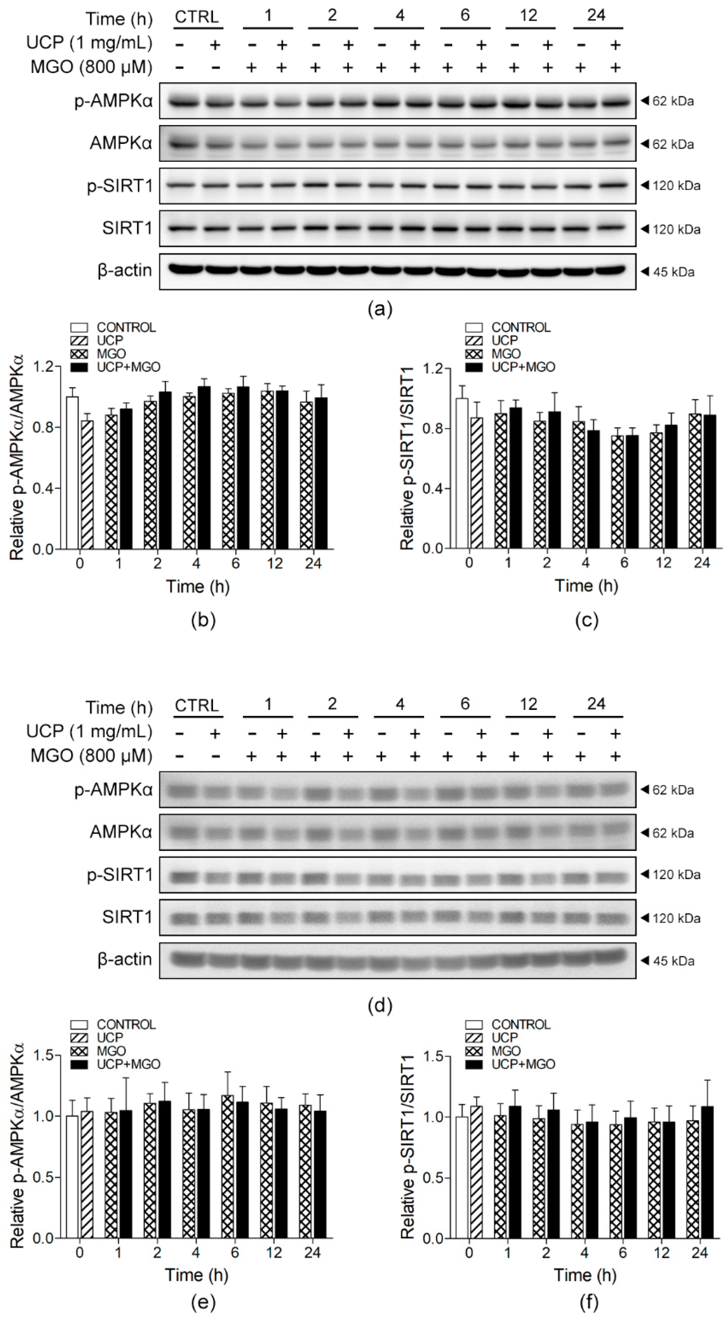 Antioxidants 10 01158 g008