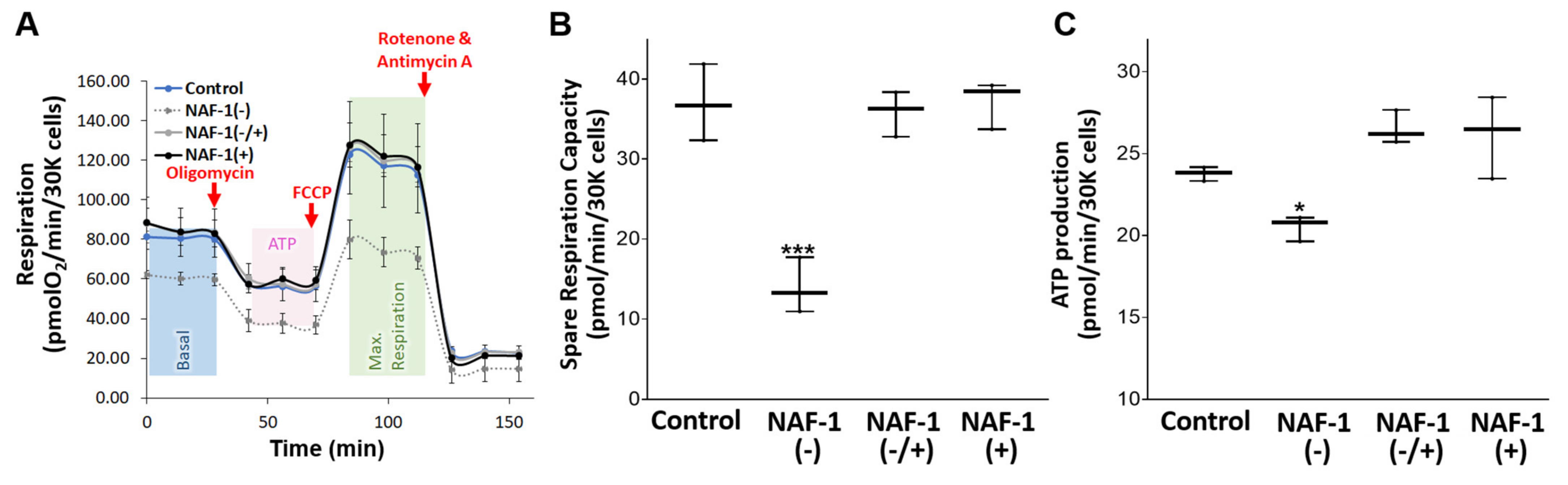 Antioxidants 10 01160 g004 Antioxidants 10 01160 g004