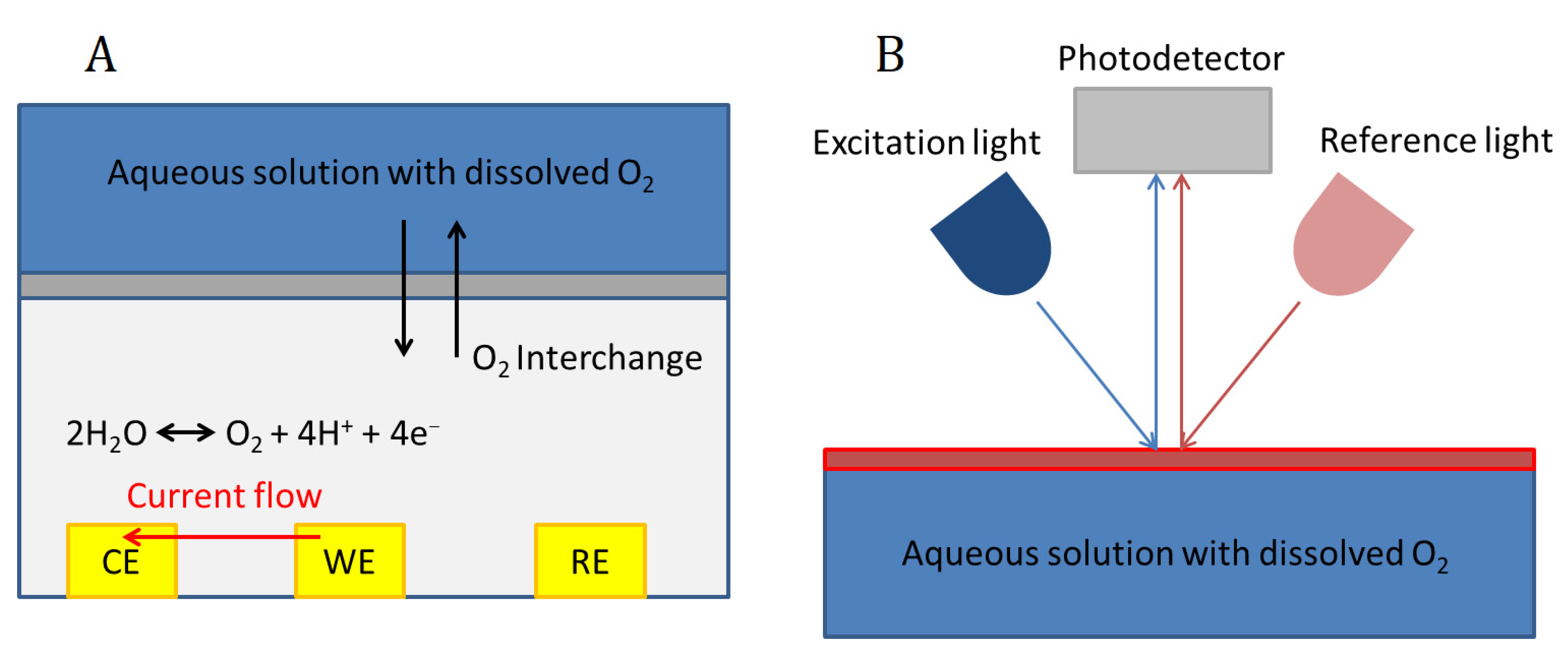 Antioxidants Free FullText Oxygen Biosensors and Control in 3D