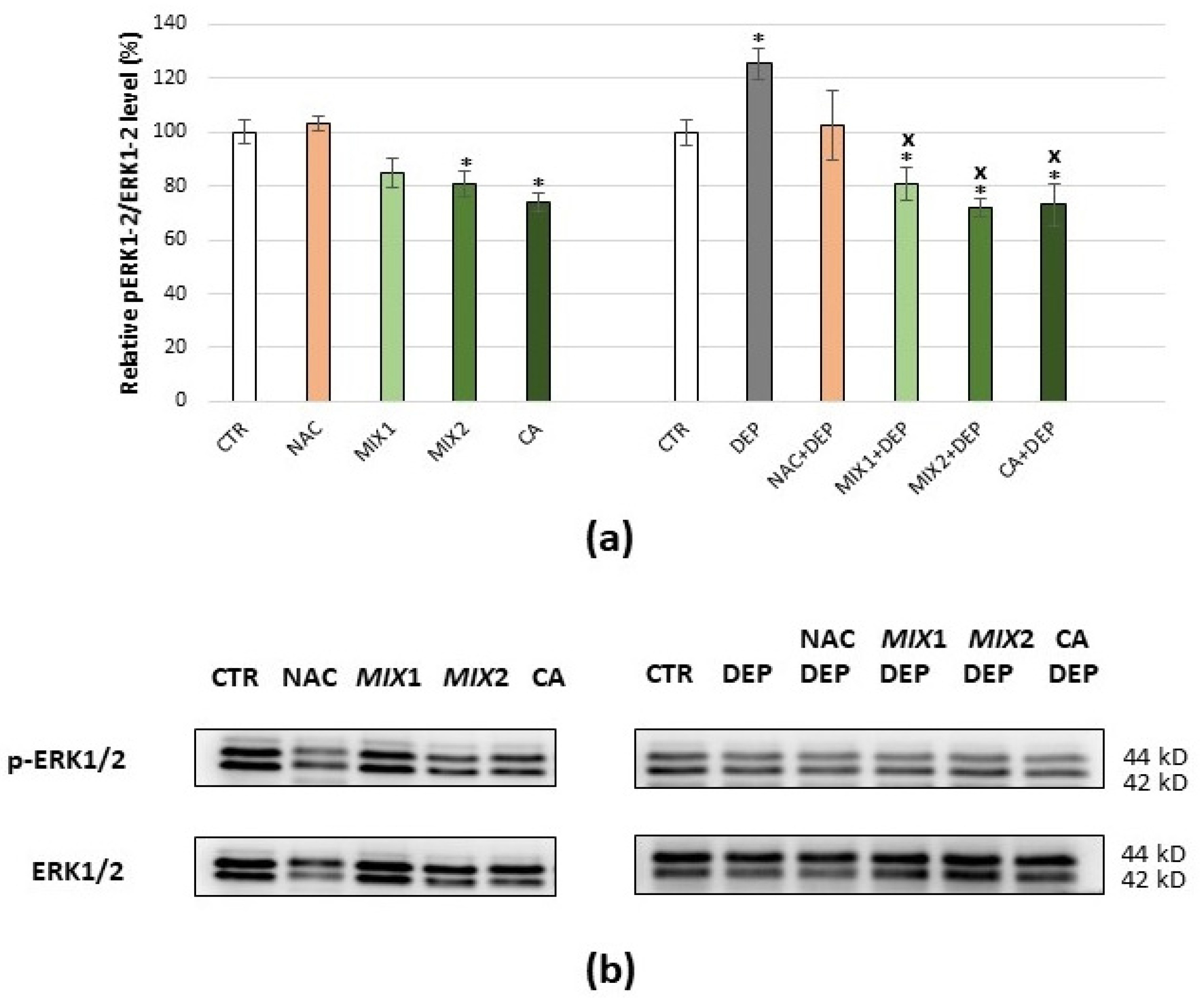Antioxidants 10 01169 g006