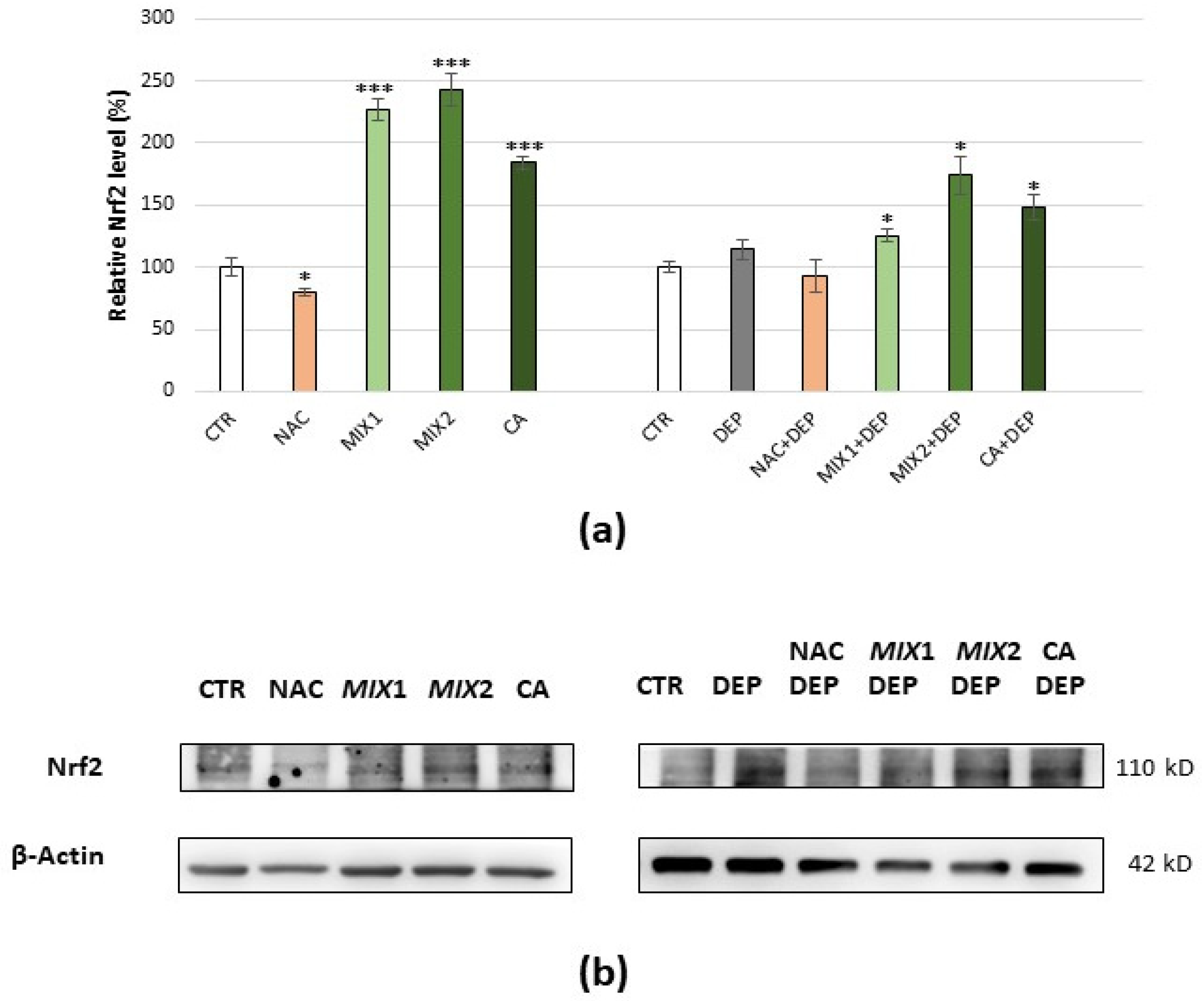 Antioxidants 10 01169 g007