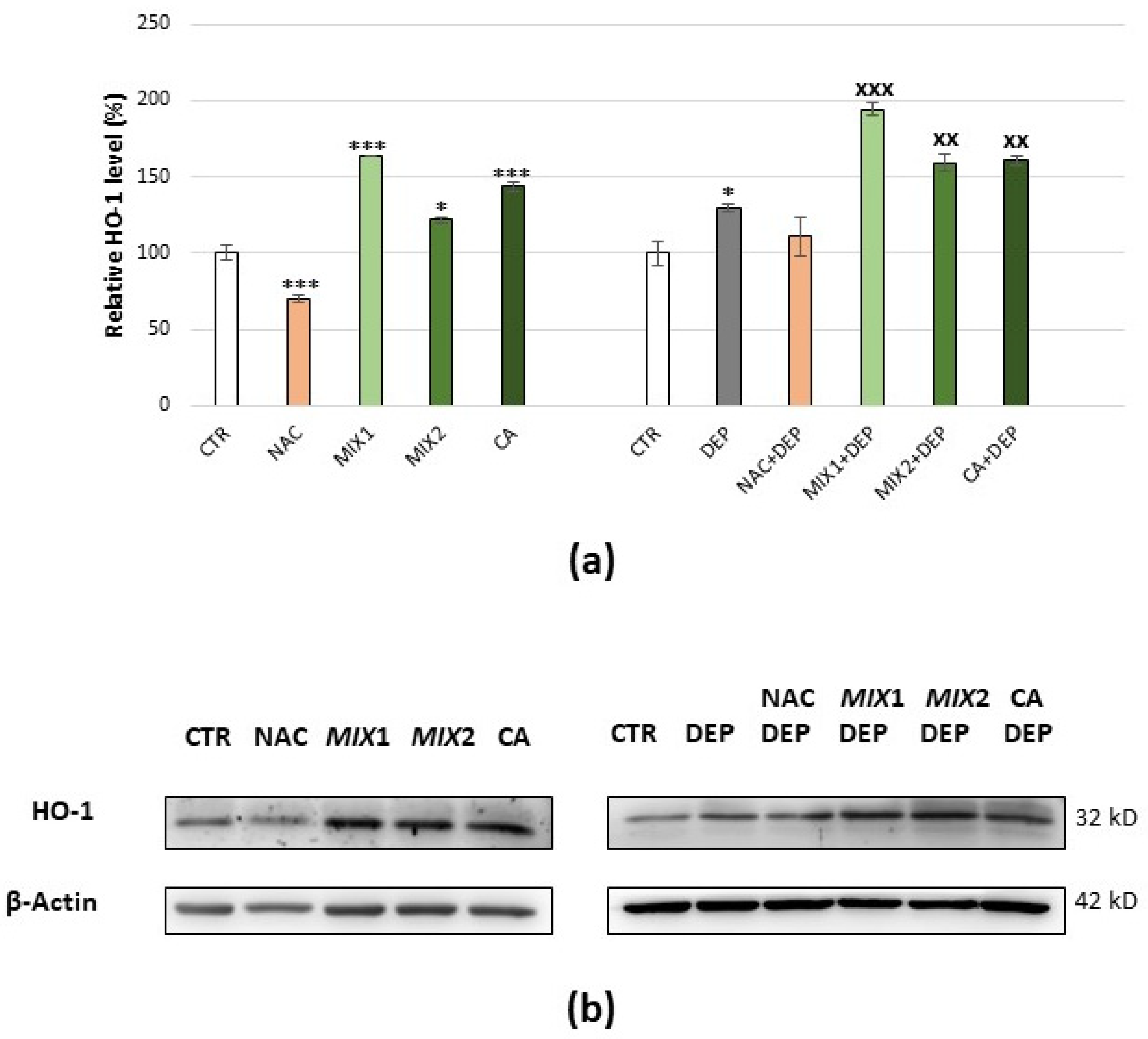 Antioxidants 10 01169 g008
