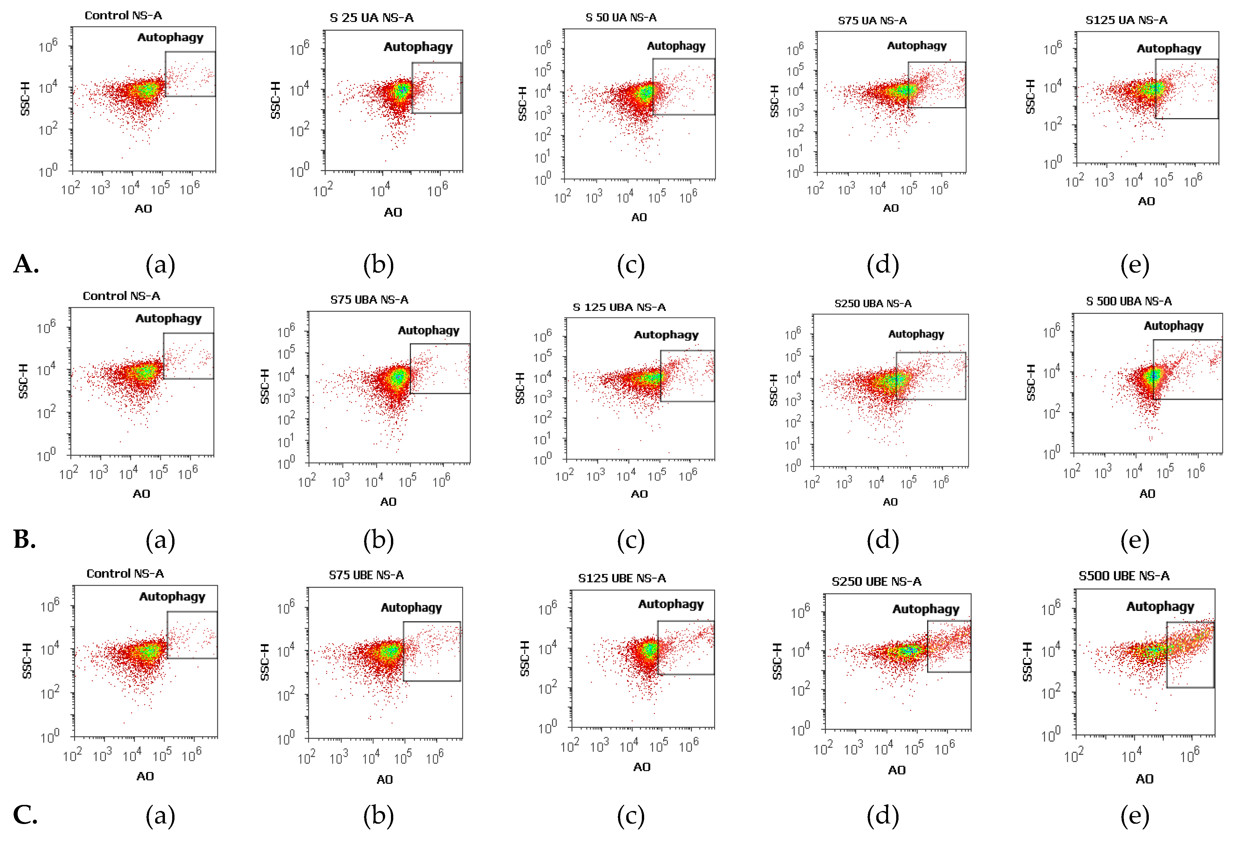 Antioxidants 10 01171 g007 550