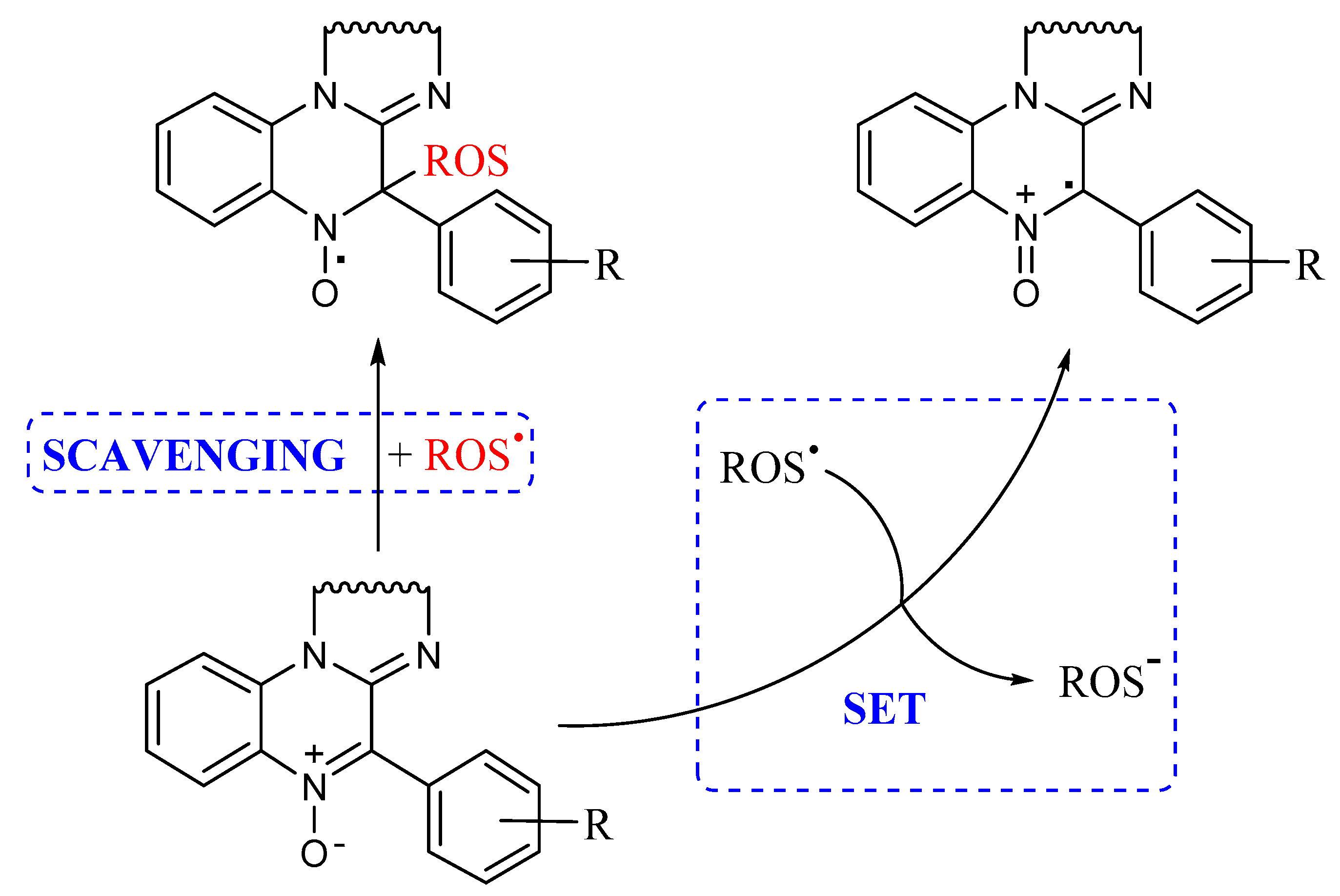 Antioxidants 10 01185 g003 550