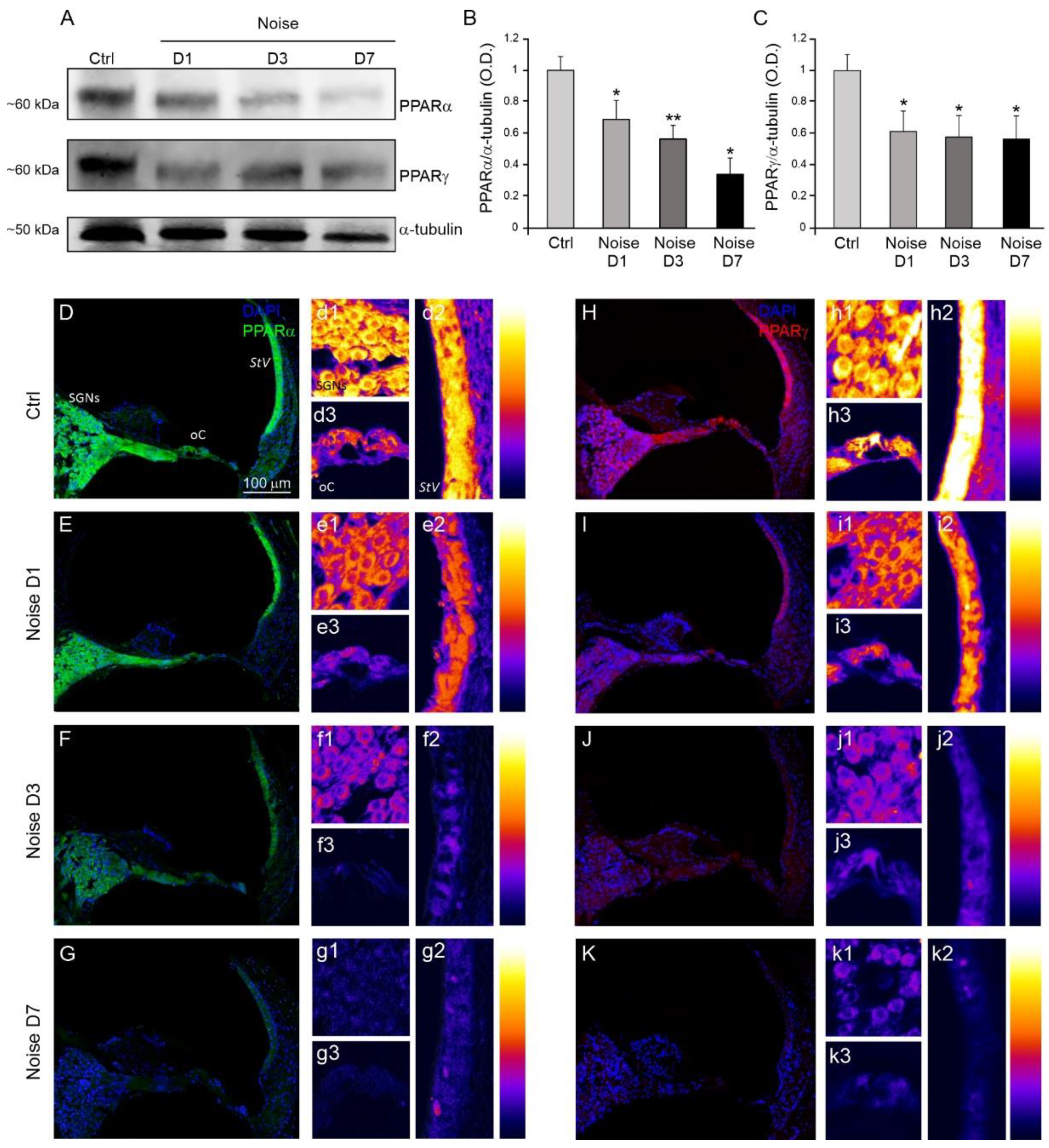 Antioxidants 10 01188 g003 Antioxidants 10 01188 g003