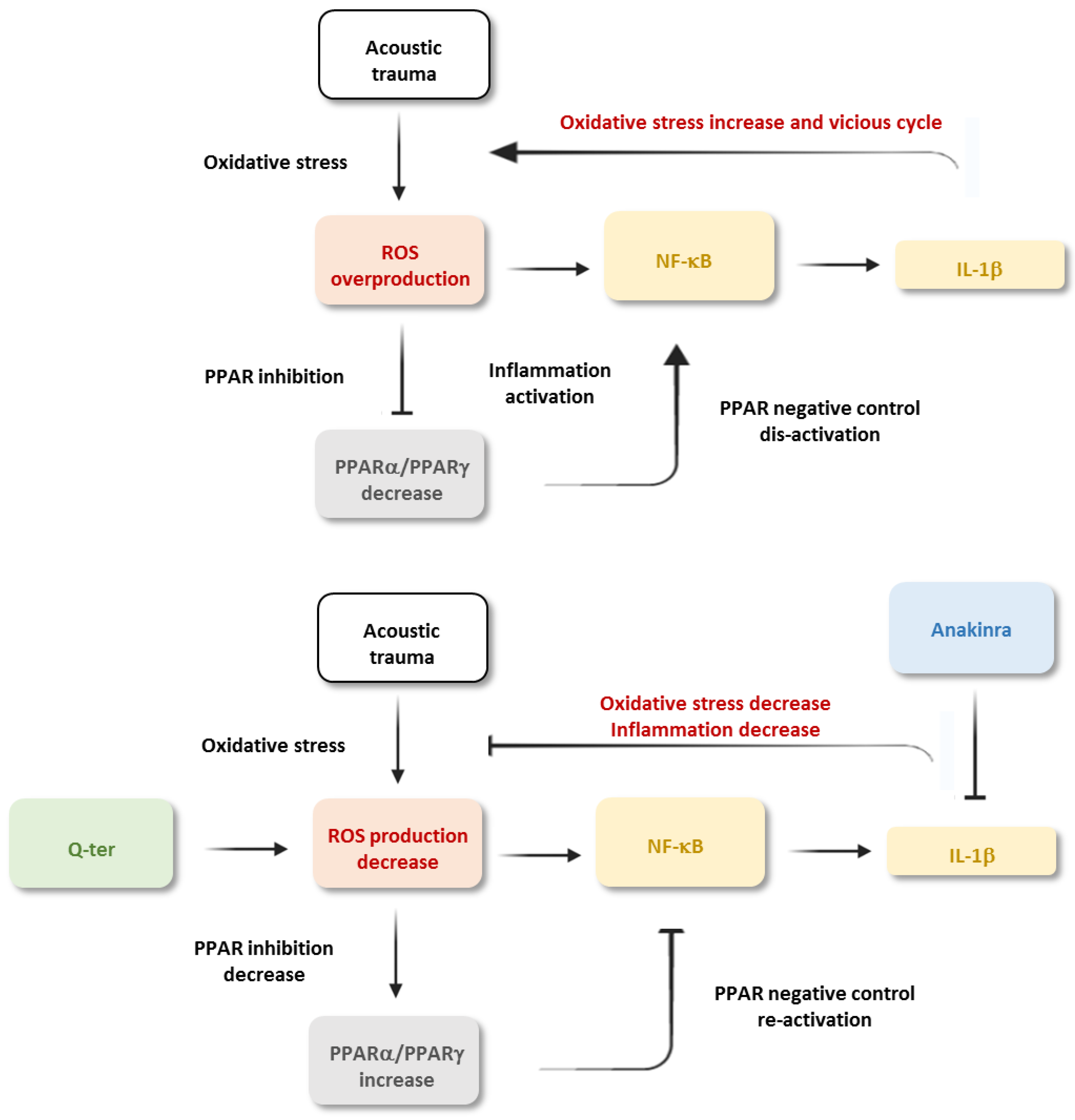 Antioxidants 10 01188 g008 Antioxidants 10 01188 g008