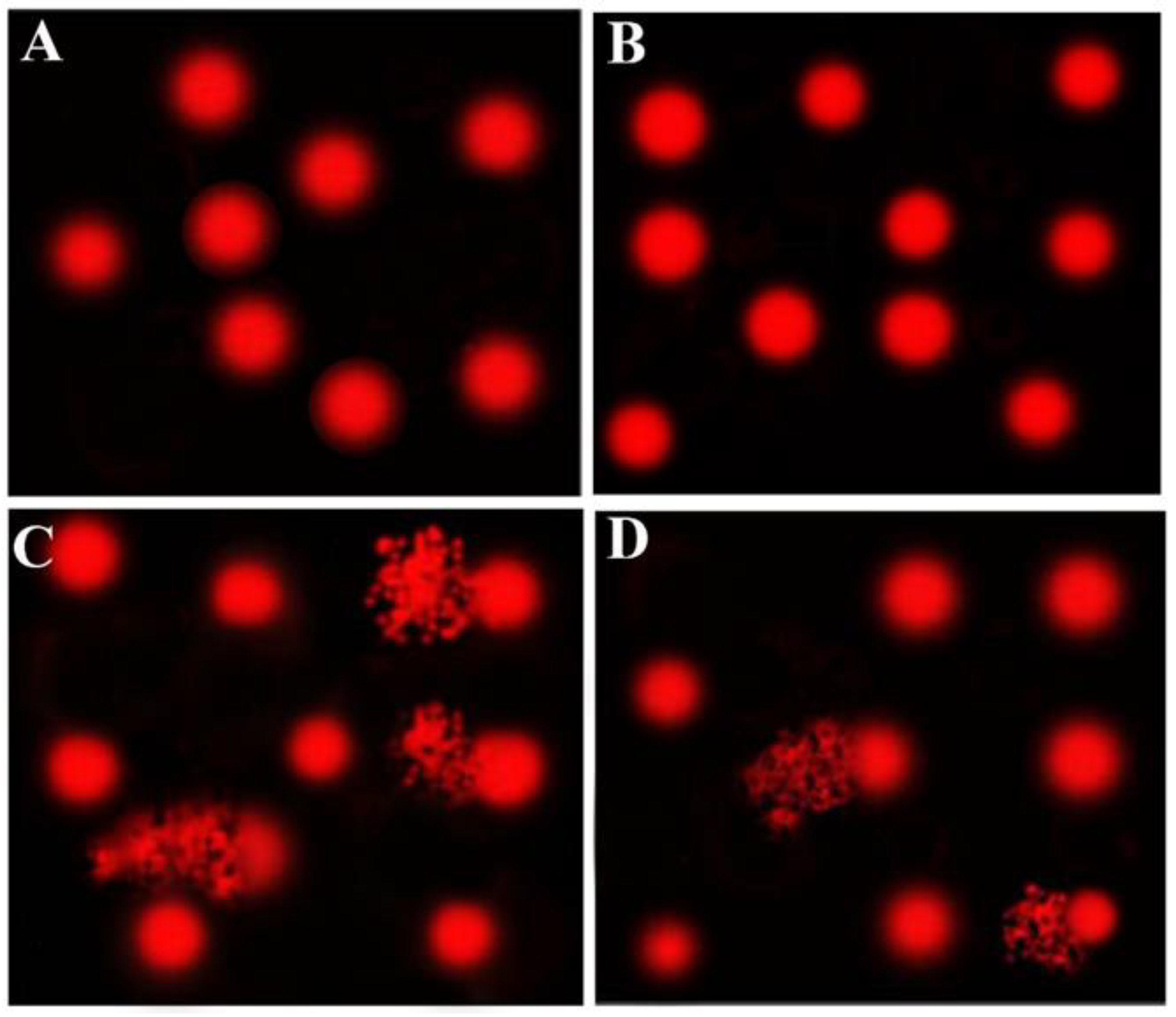 Antioxidants 10 01194 g002