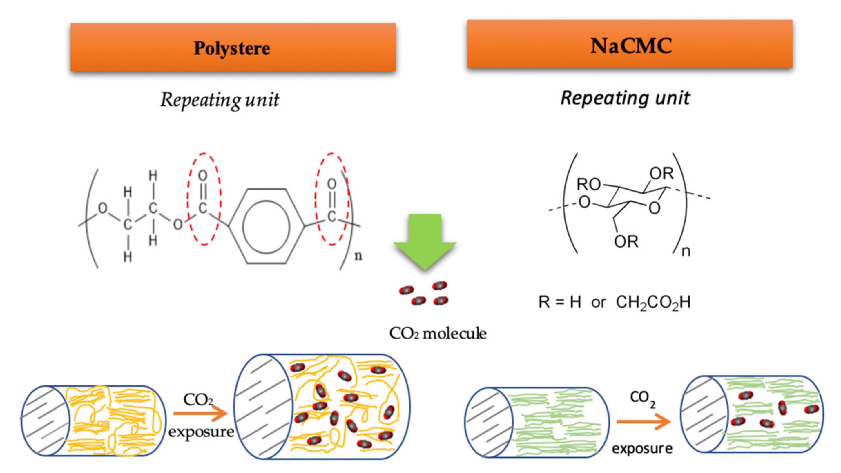 Antioxidants 10 01196 g005 550