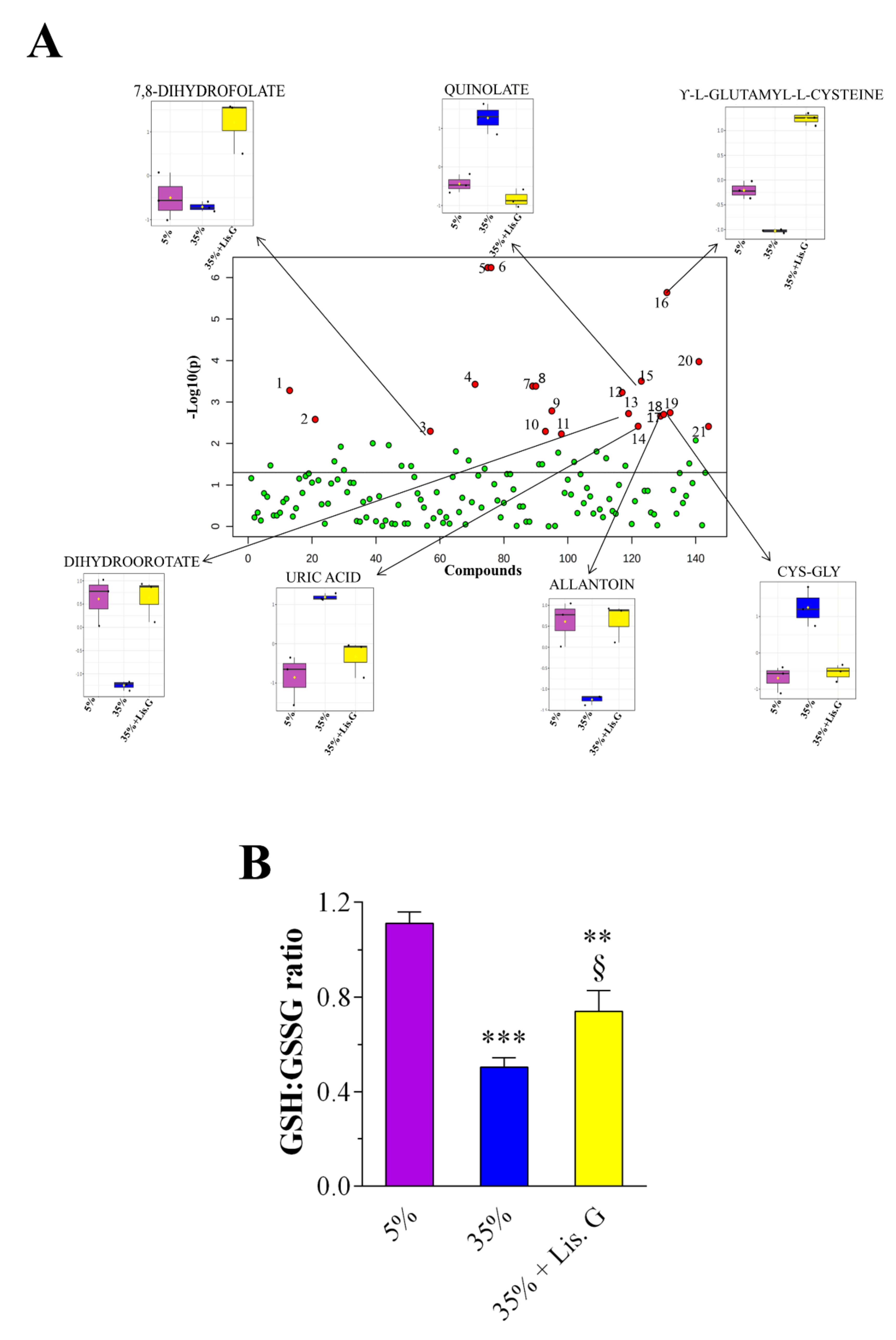 Antioxidants 10 01197 g004