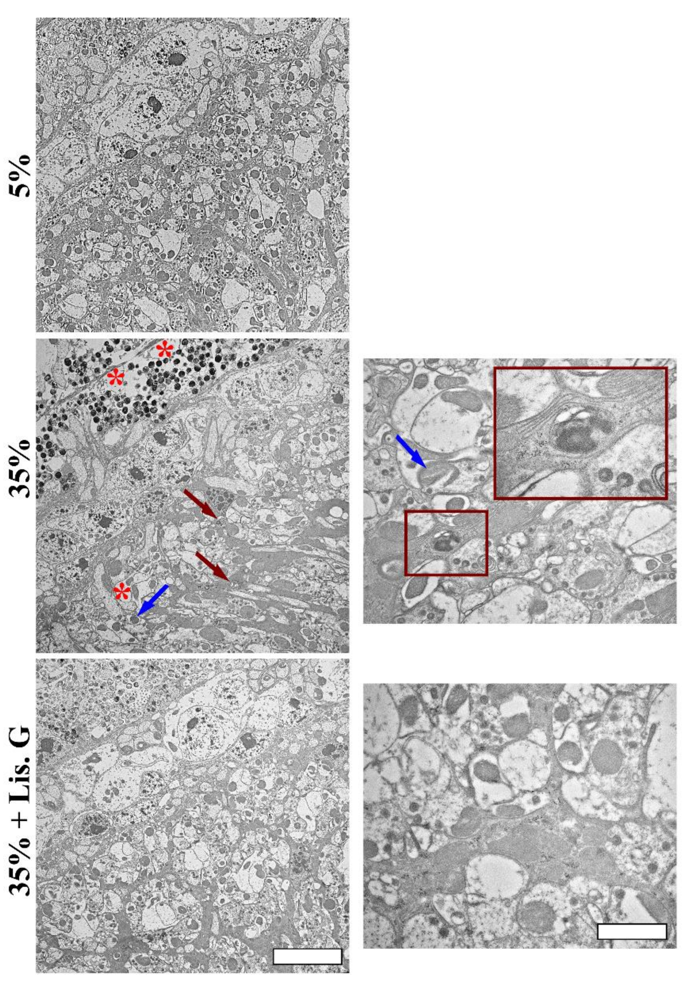 Antioxidants 10 01197 g007