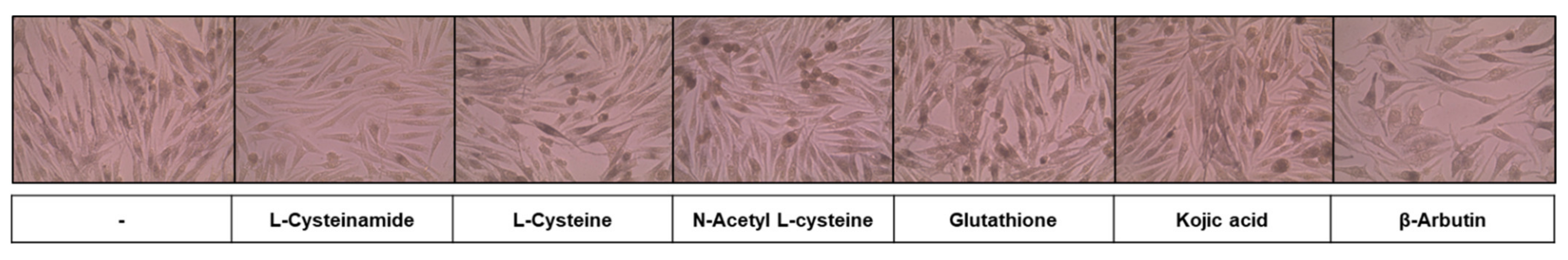 Antioxidants 10 01202 g003
