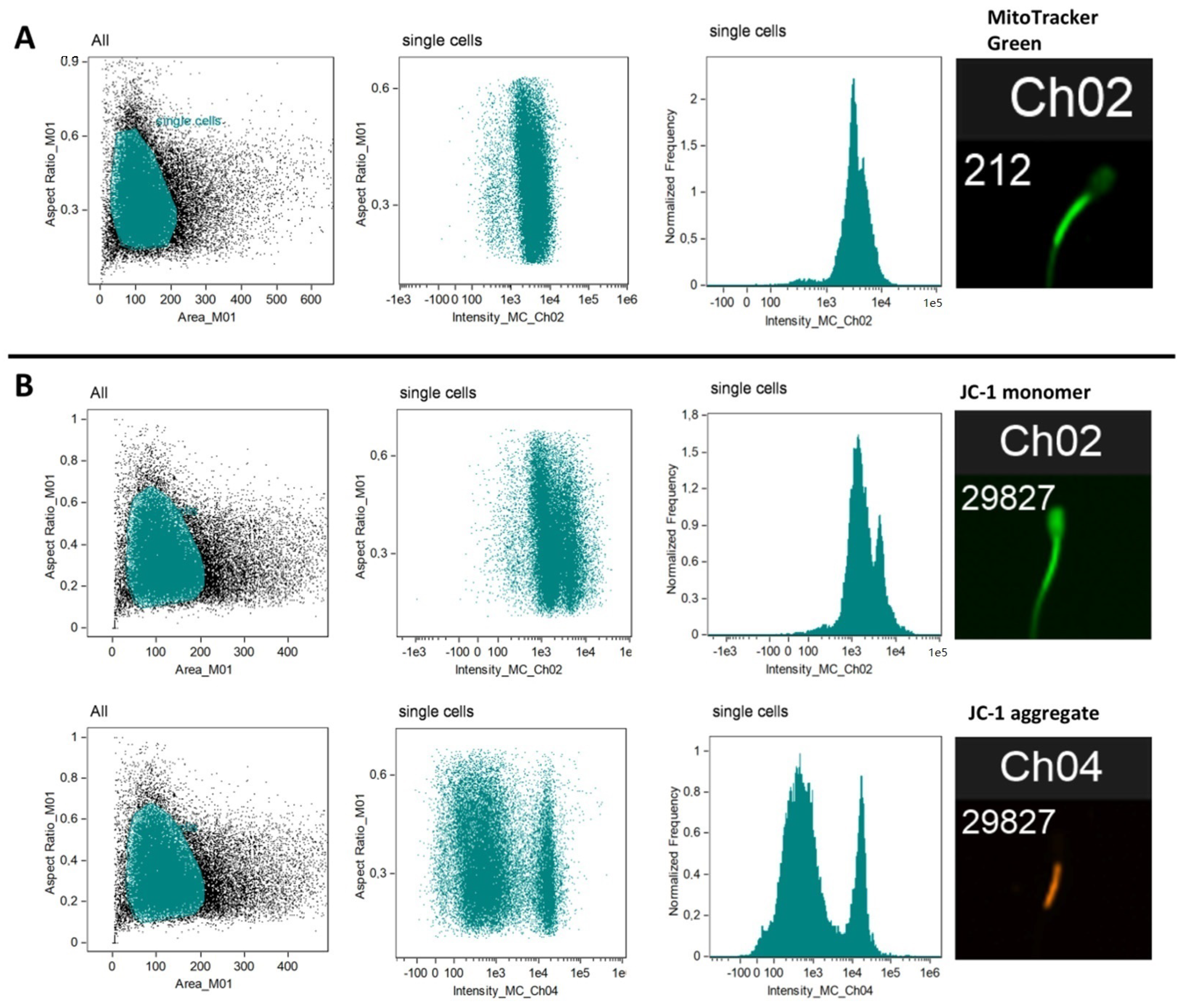 Antioxidants 10 01204 g001 550