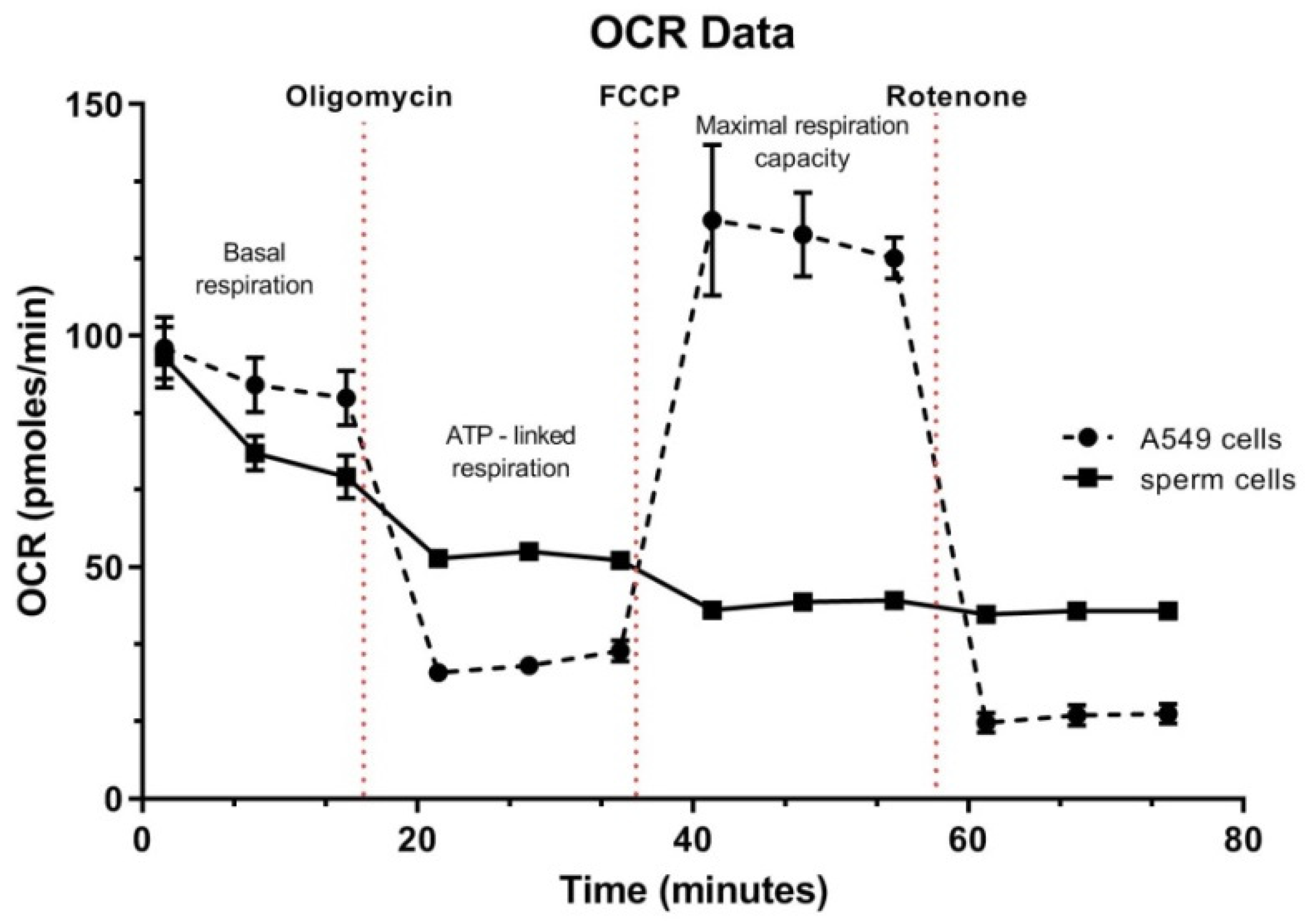 Antioxidants 10 01204 g006 550