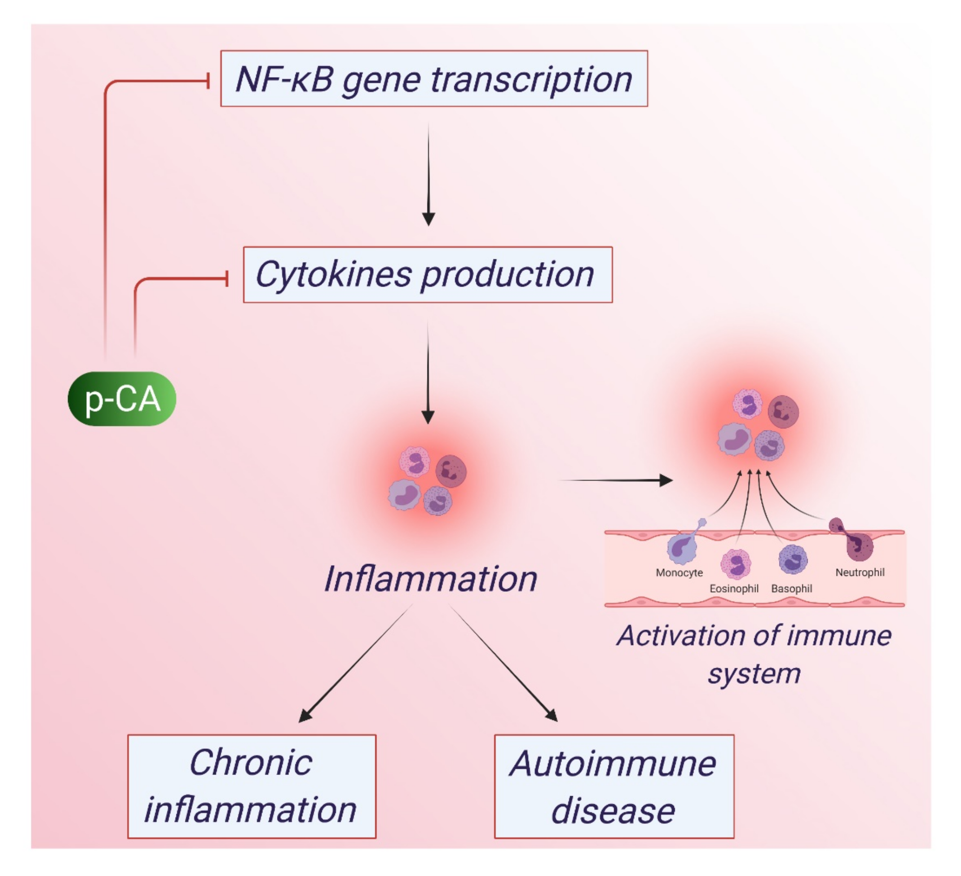 Antioxidants 10 01205 g003