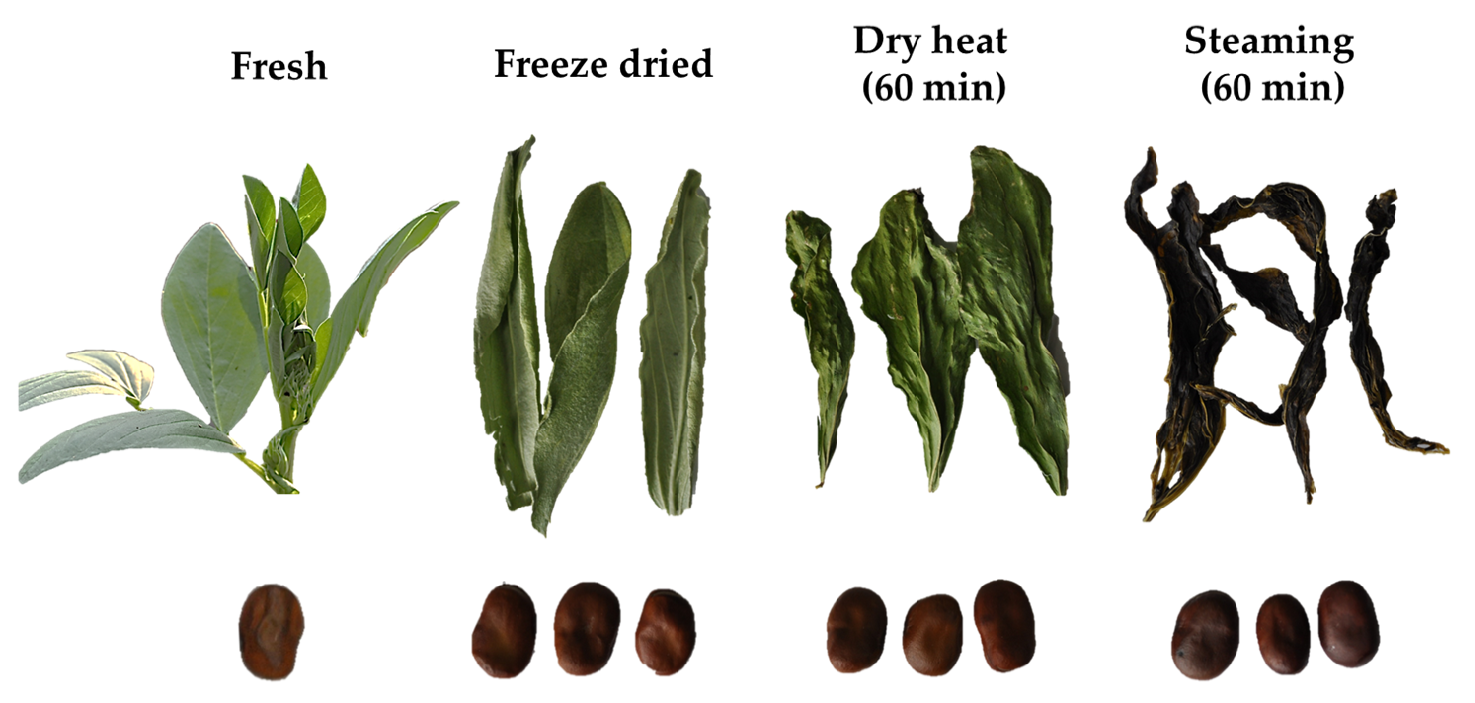 Kilauea Mountain Stuepige andrageren Antioxidants | Free Full-Text | Effect of Thermal Processing on Color,  Phenolic Compounds, and Antioxidant Activity of Faba Bean (Vicia faba L.)  Leaves and Seeds
