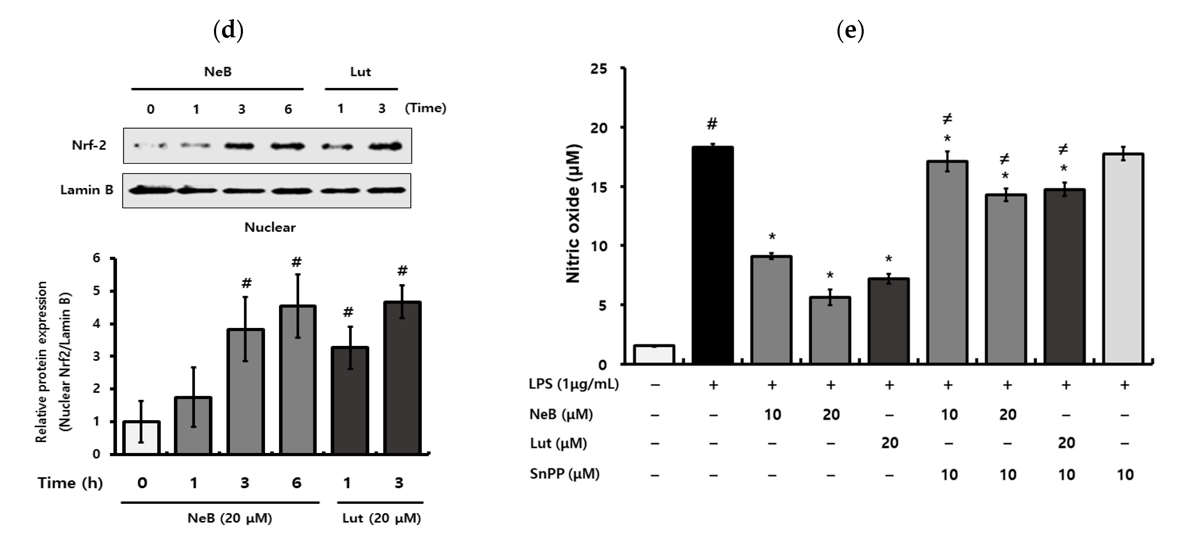 Antioxidants Free Full Text Nepetoidin B From Salvia Plebeia R Br Inhibits Inflammation By Modulating The Nf Kb And Nrf2 Ho 1 Signaling Pathways In Macrophage Cells Html