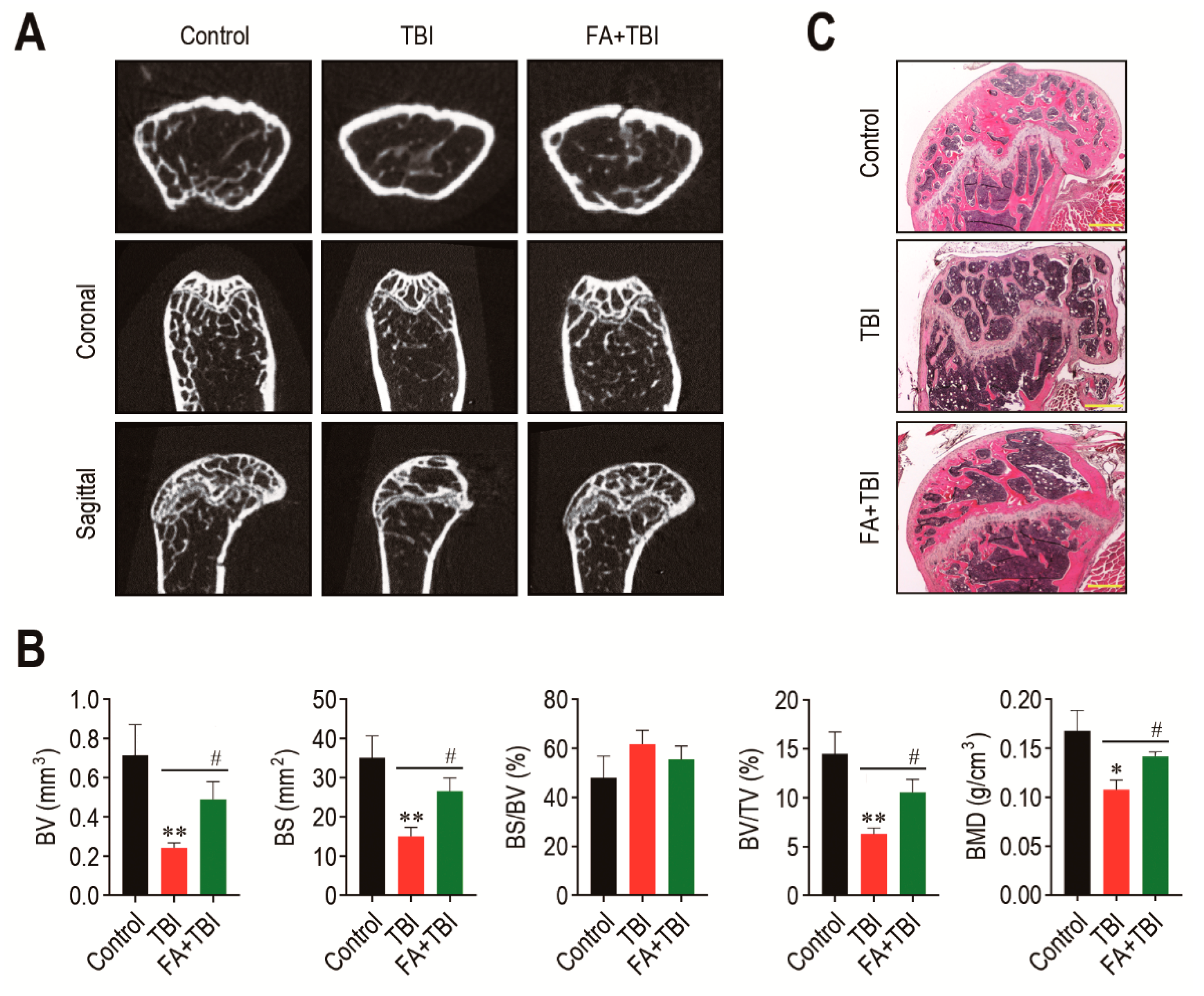 Antioxidants 10 01209 g003