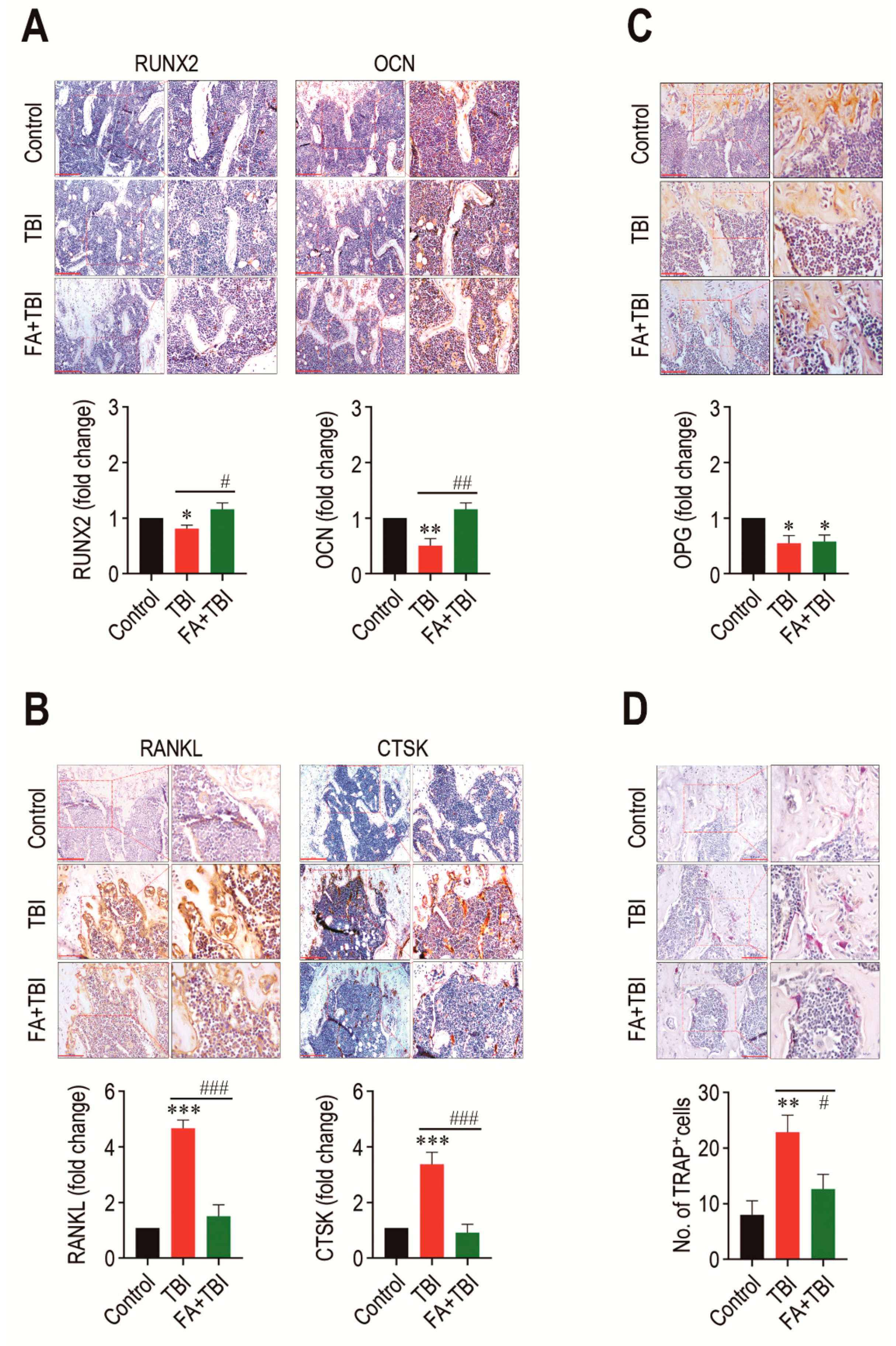 Antioxidants 10 01209 g004