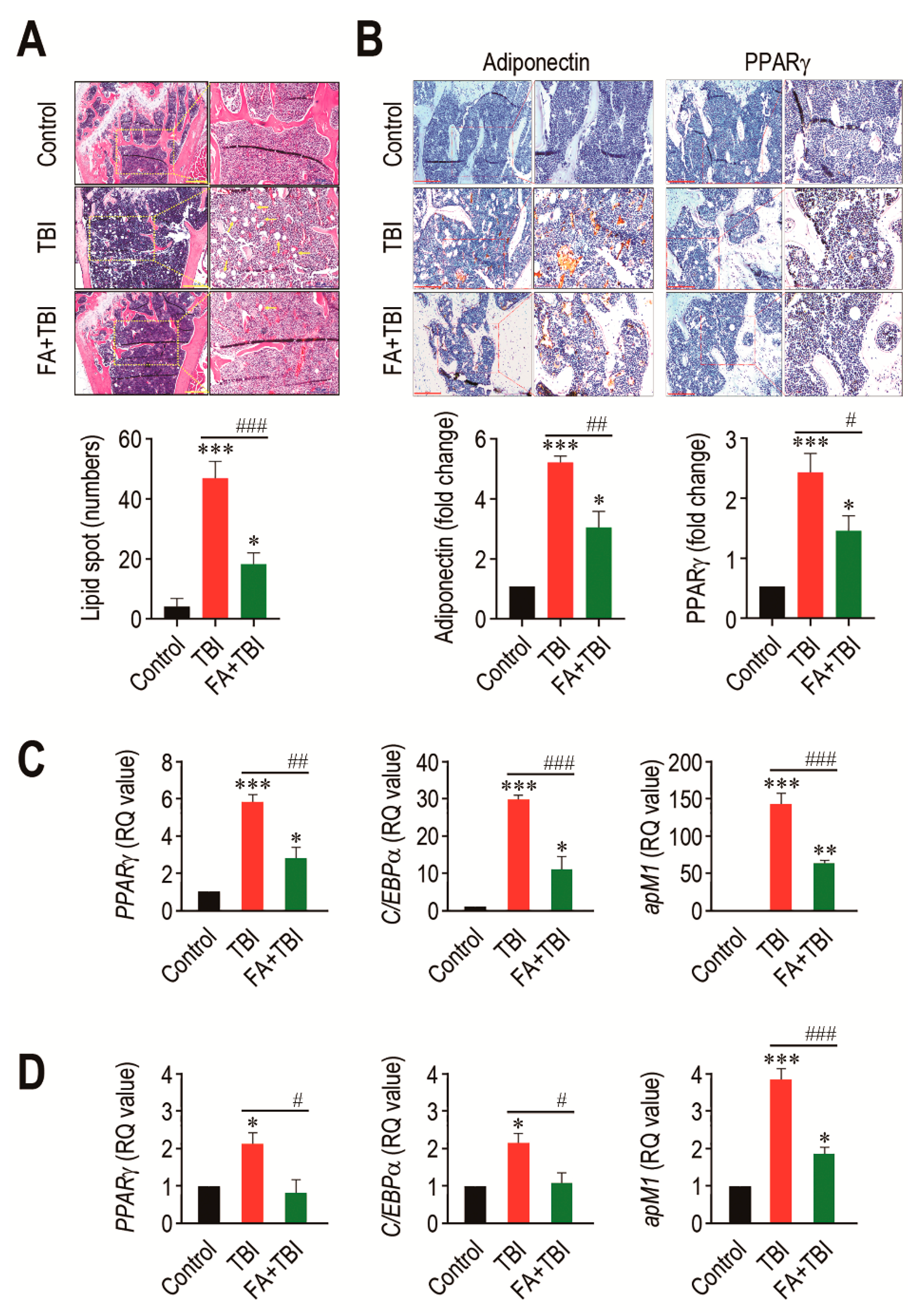 Antioxidants 10 01209 g005