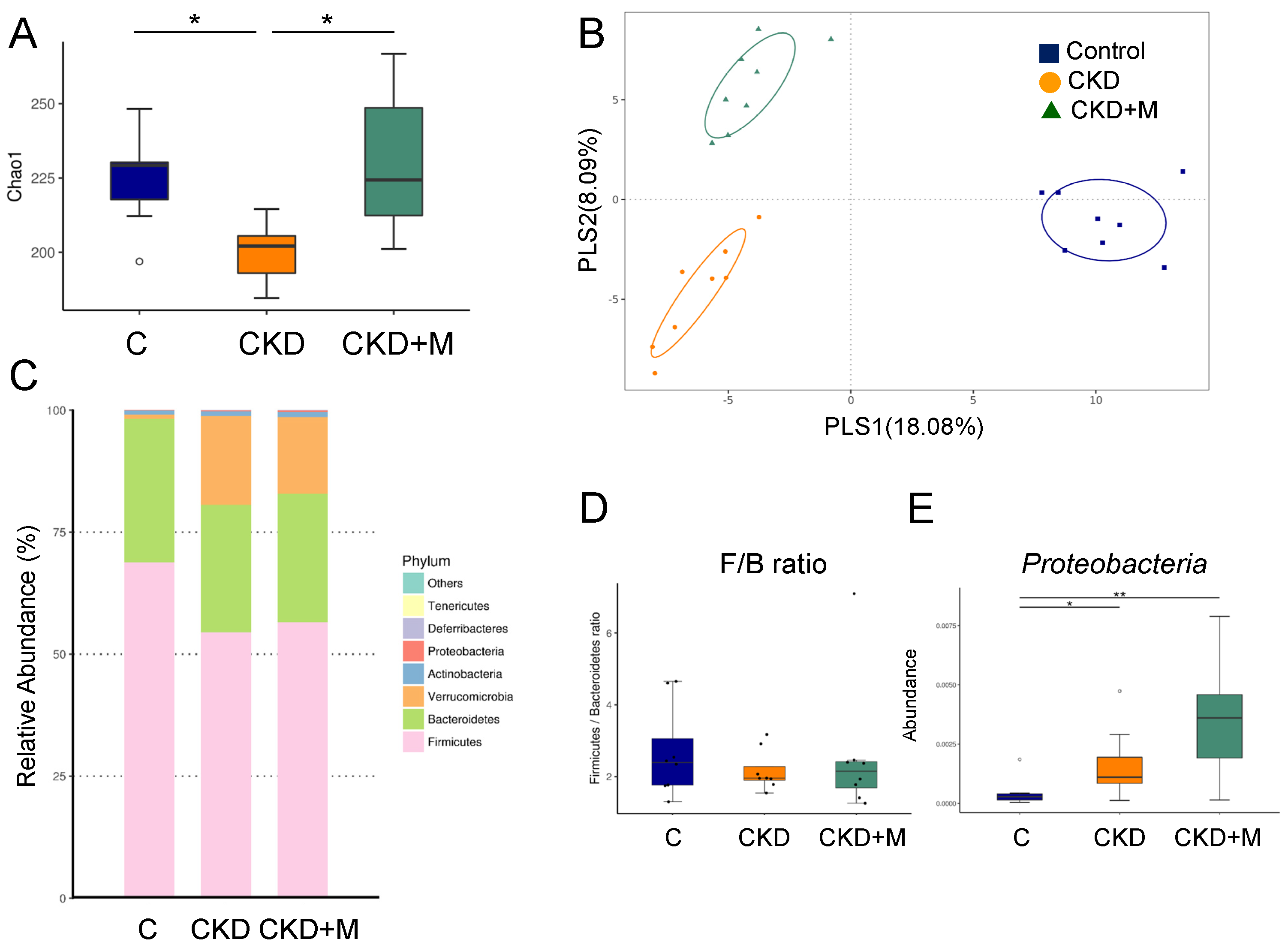 Antioxidants 10 01211 g001