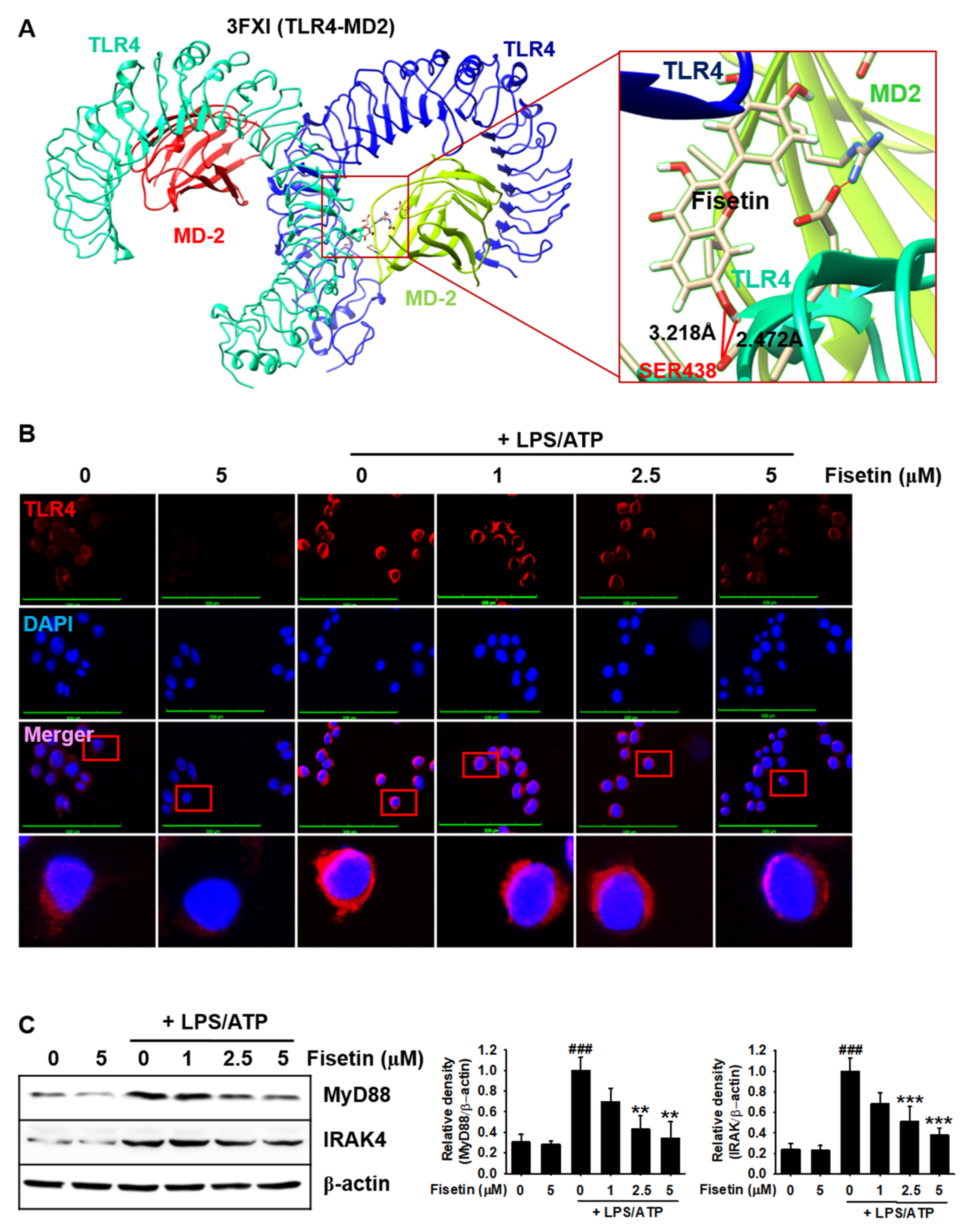 Antioxidants 10 01215 g002