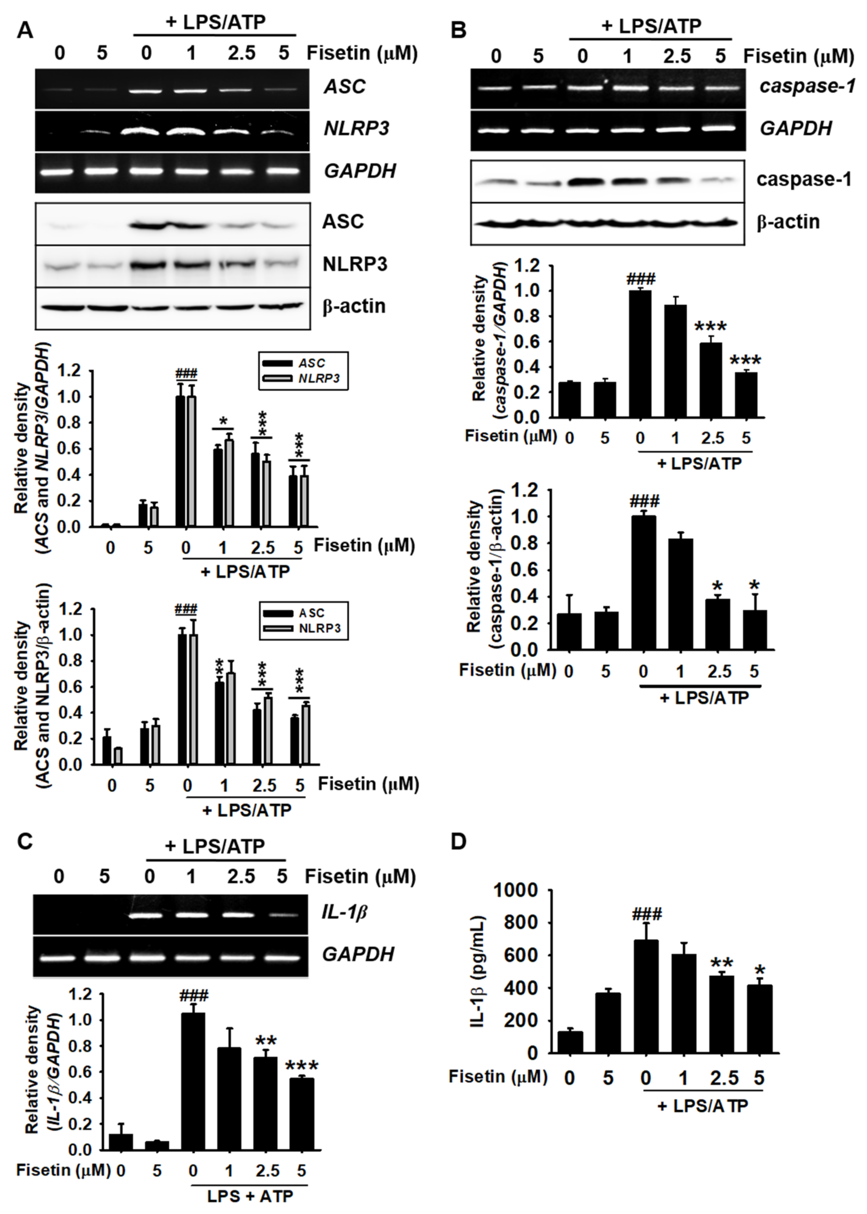 Antioxidants 10 01215 g004