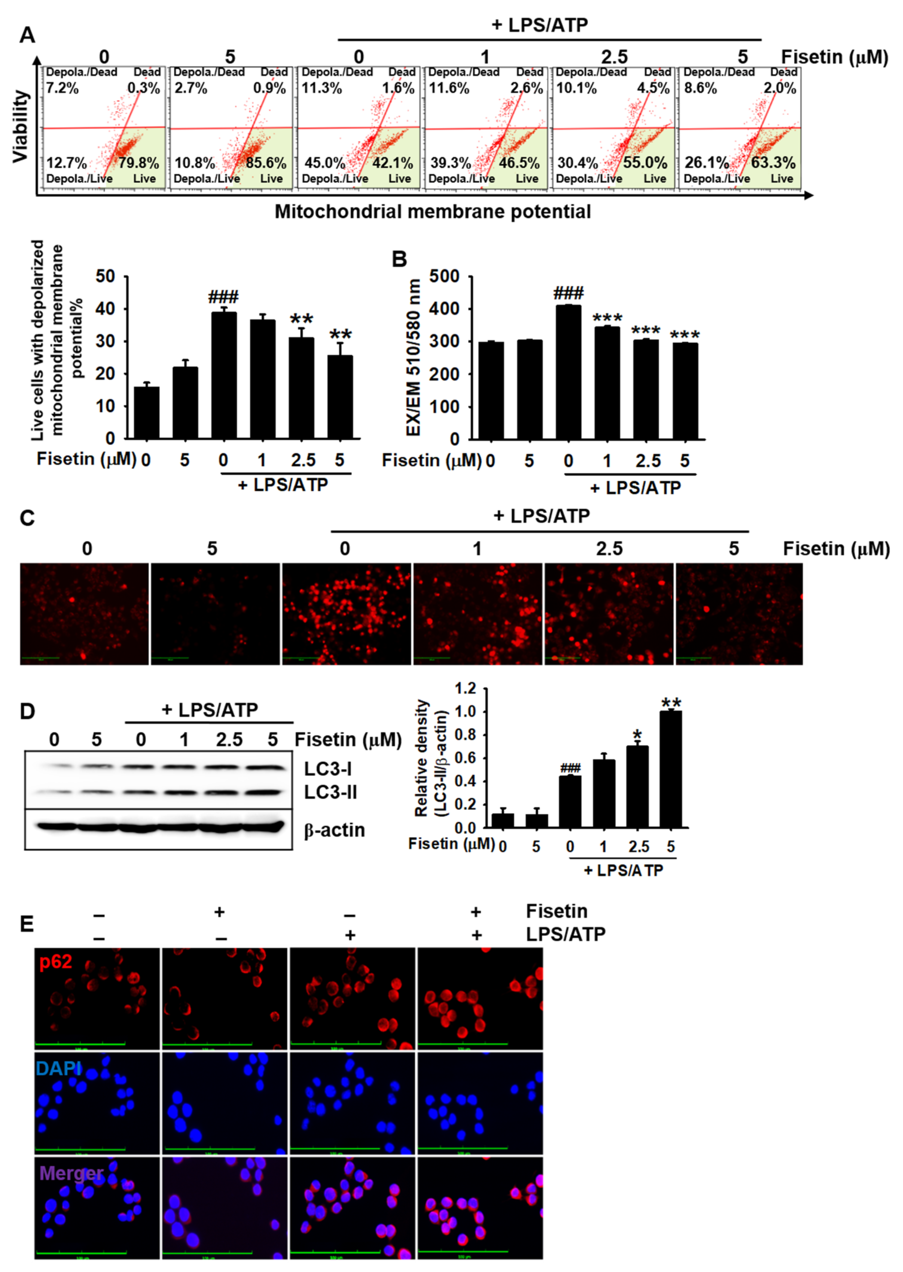 Antioxidants 10 01215 g005