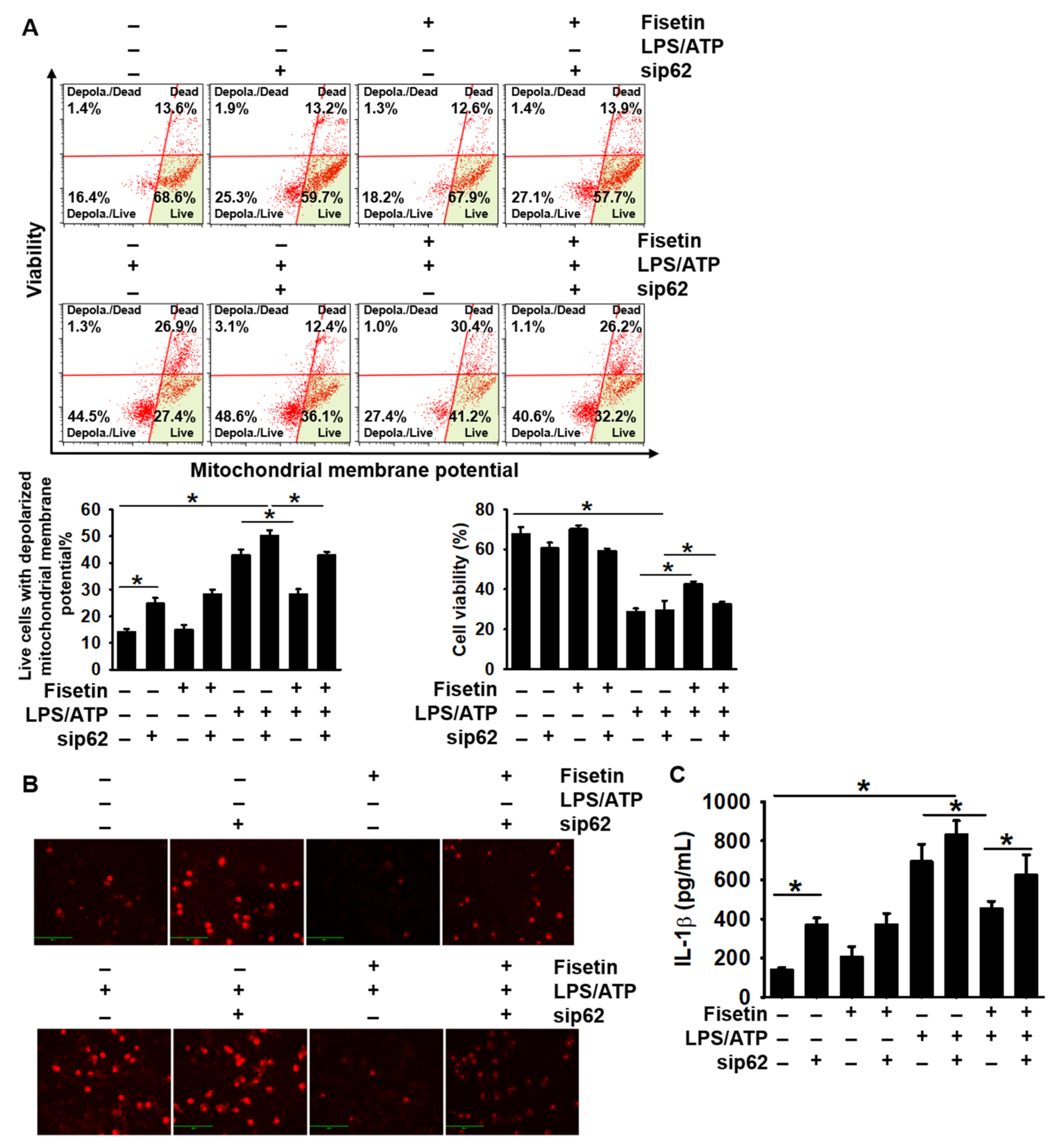 Antioxidants 10 01215 g006