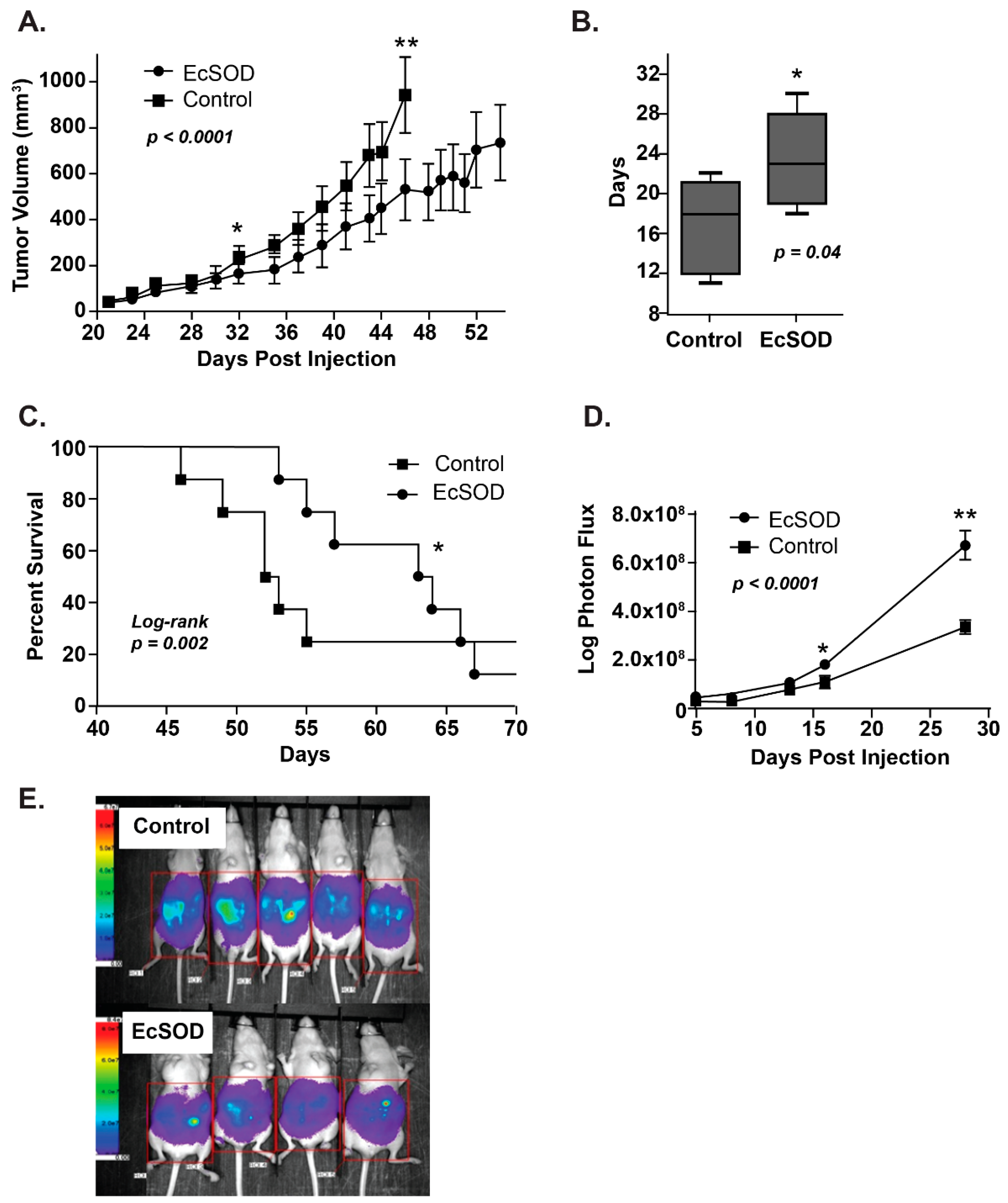 Antioxidants 10 01219 g003