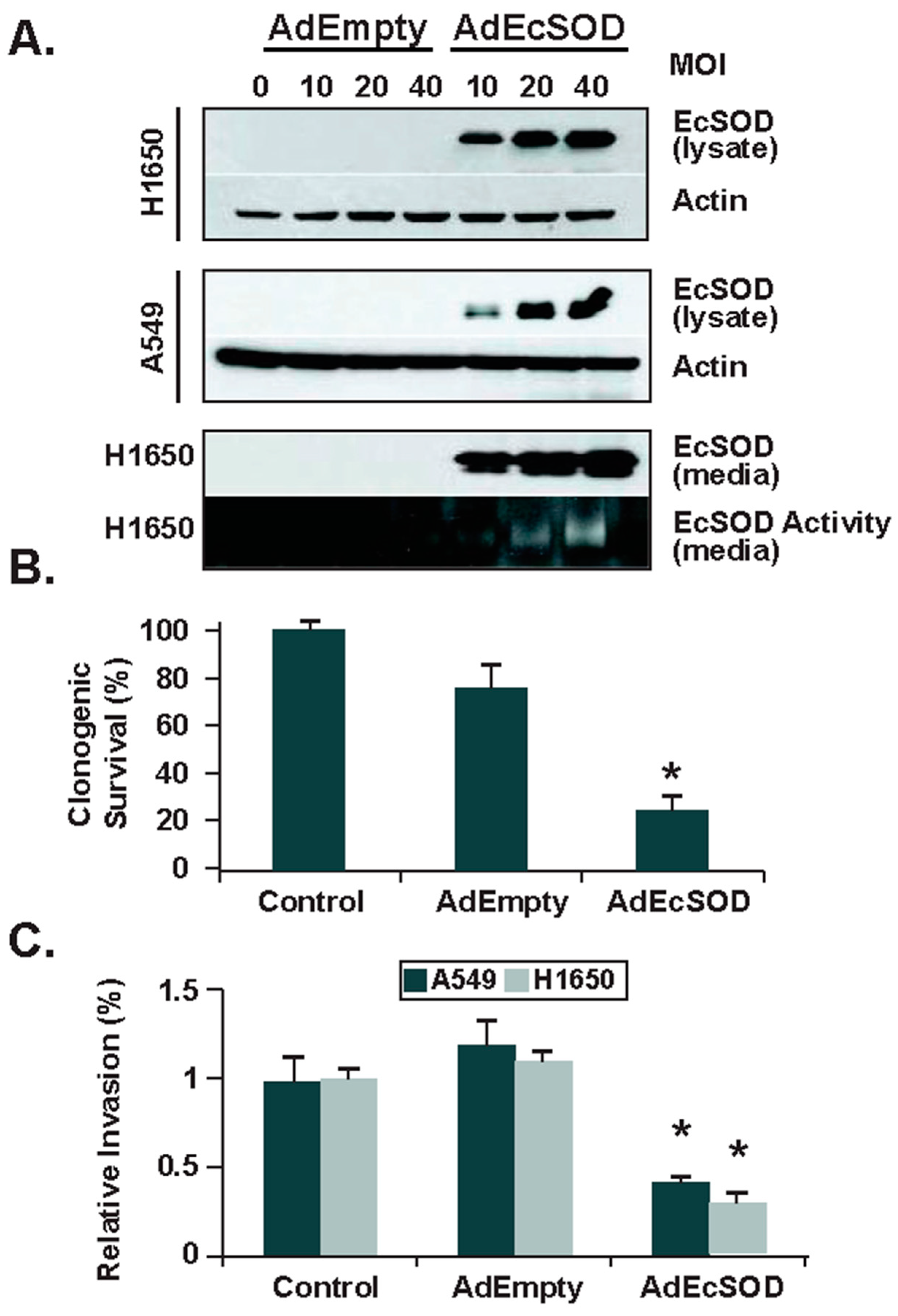 Antioxidants 10 01219 g004