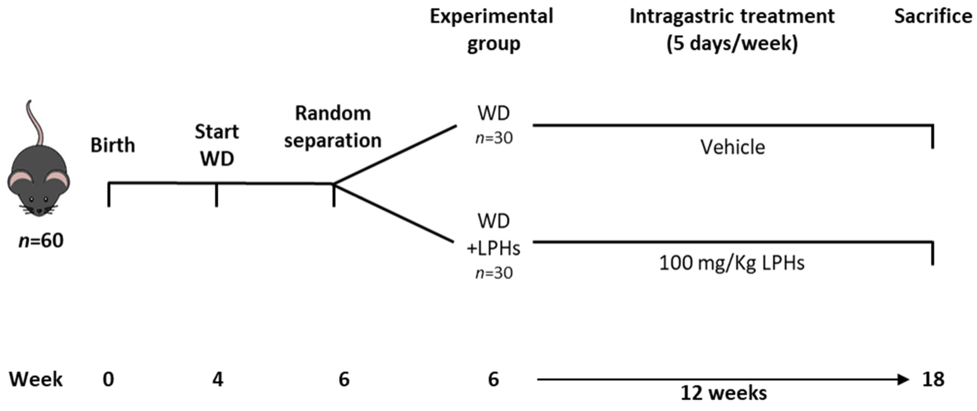 Antioxidants 10 01222 g001 550