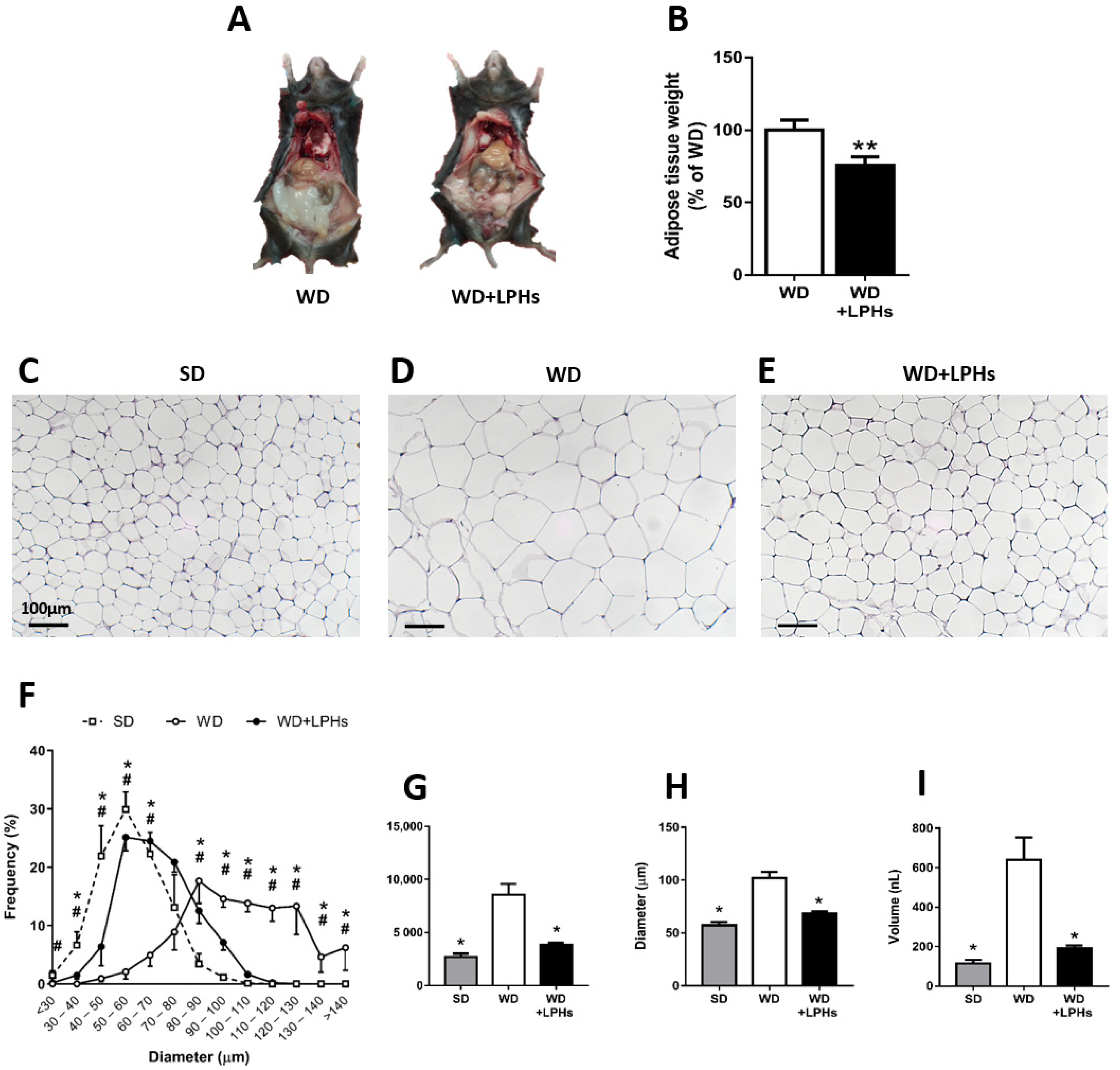 Antioxidants 10 01222 g002 550