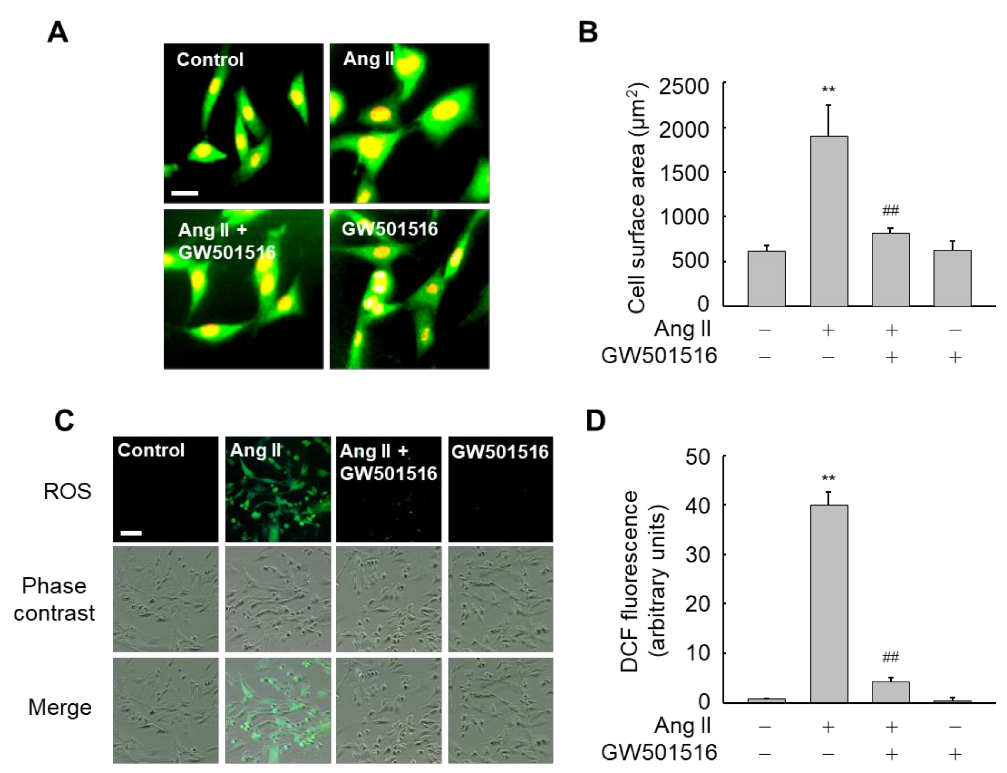 Antioxidants 10 01223 g001