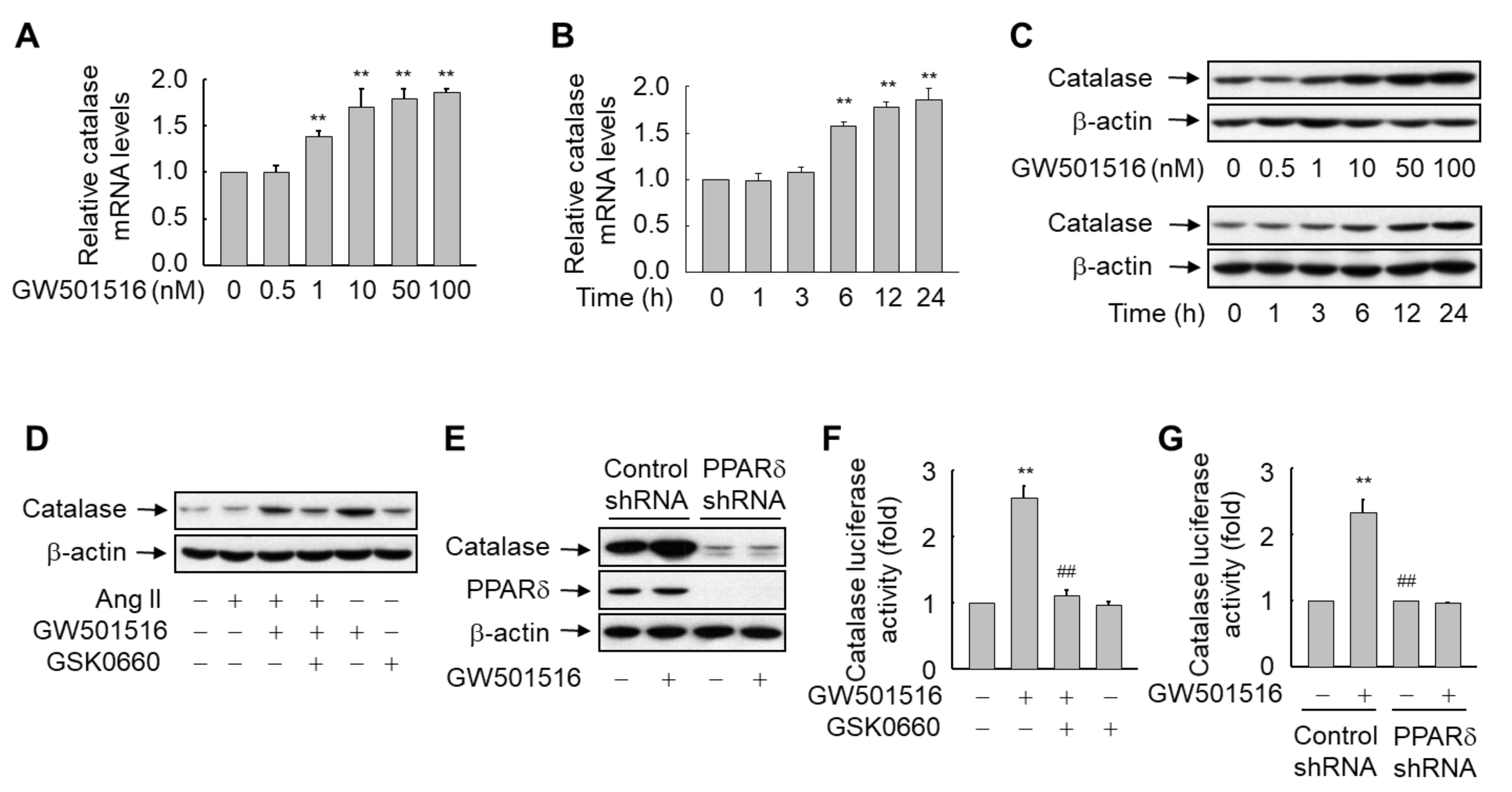 Antioxidants 10 01223 g003