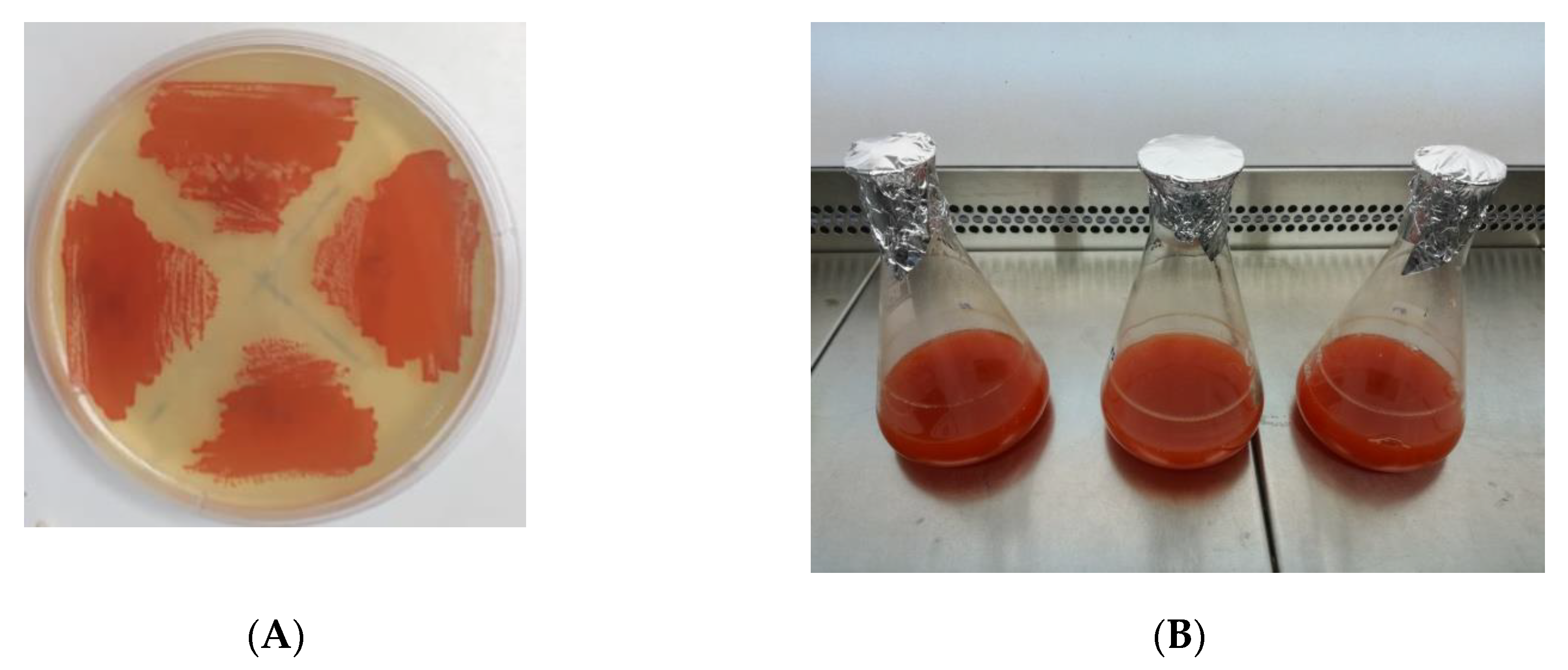 Antioxidants 10 01230 g001