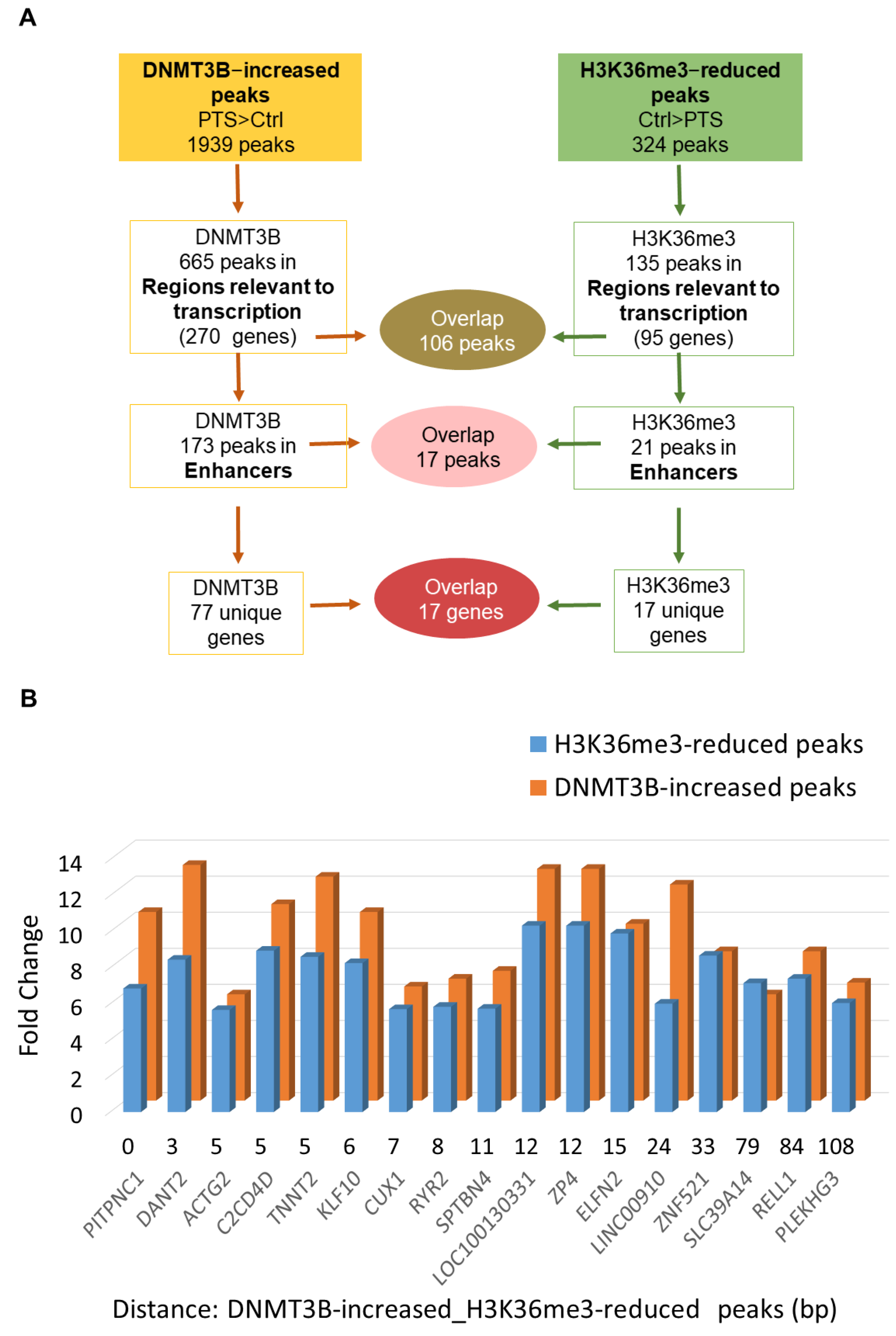 Antioxidants 10 01232 g002 550