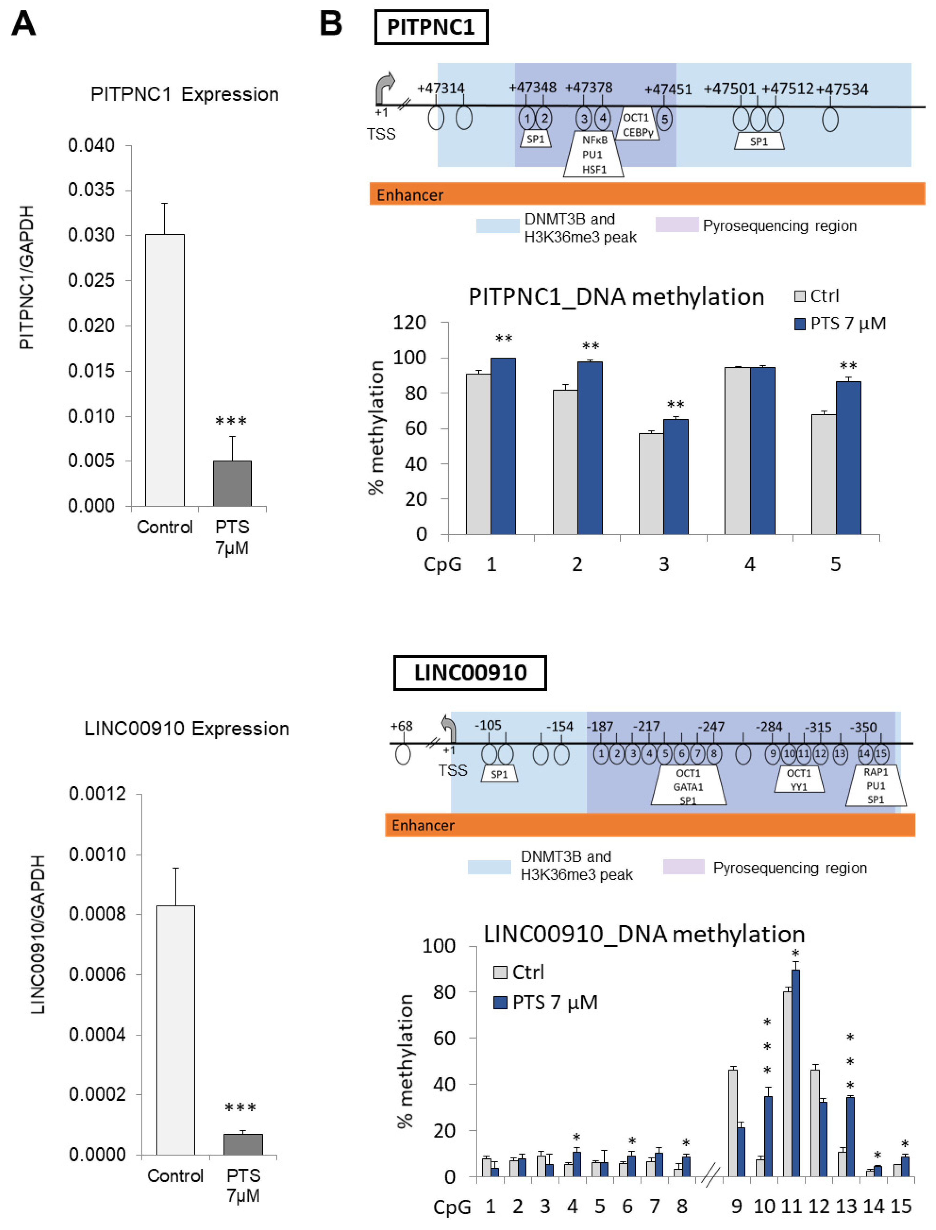 Antioxidants Free FullText Pterostilbene Changes Marks