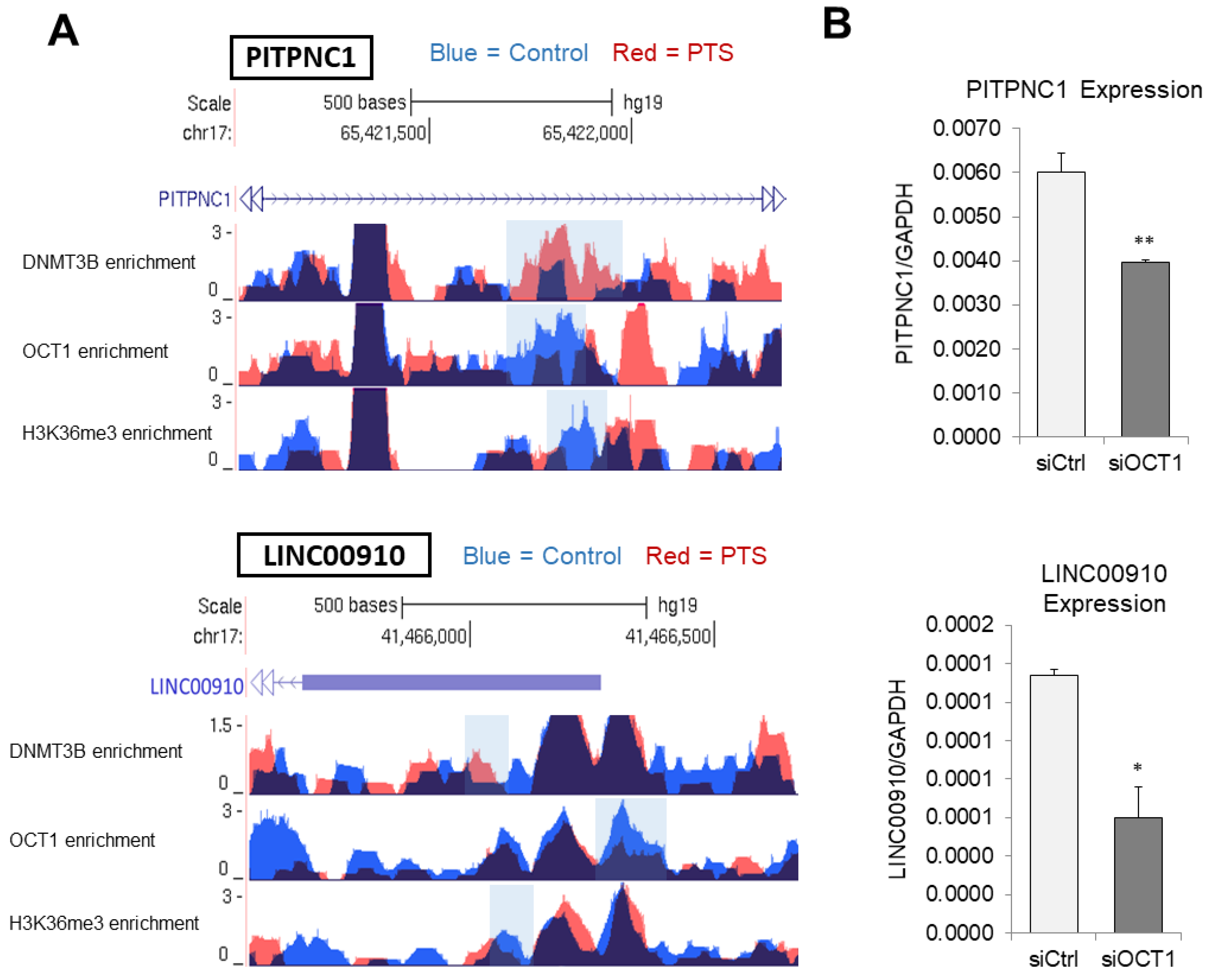 Antioxidants 10 01232 g004 550