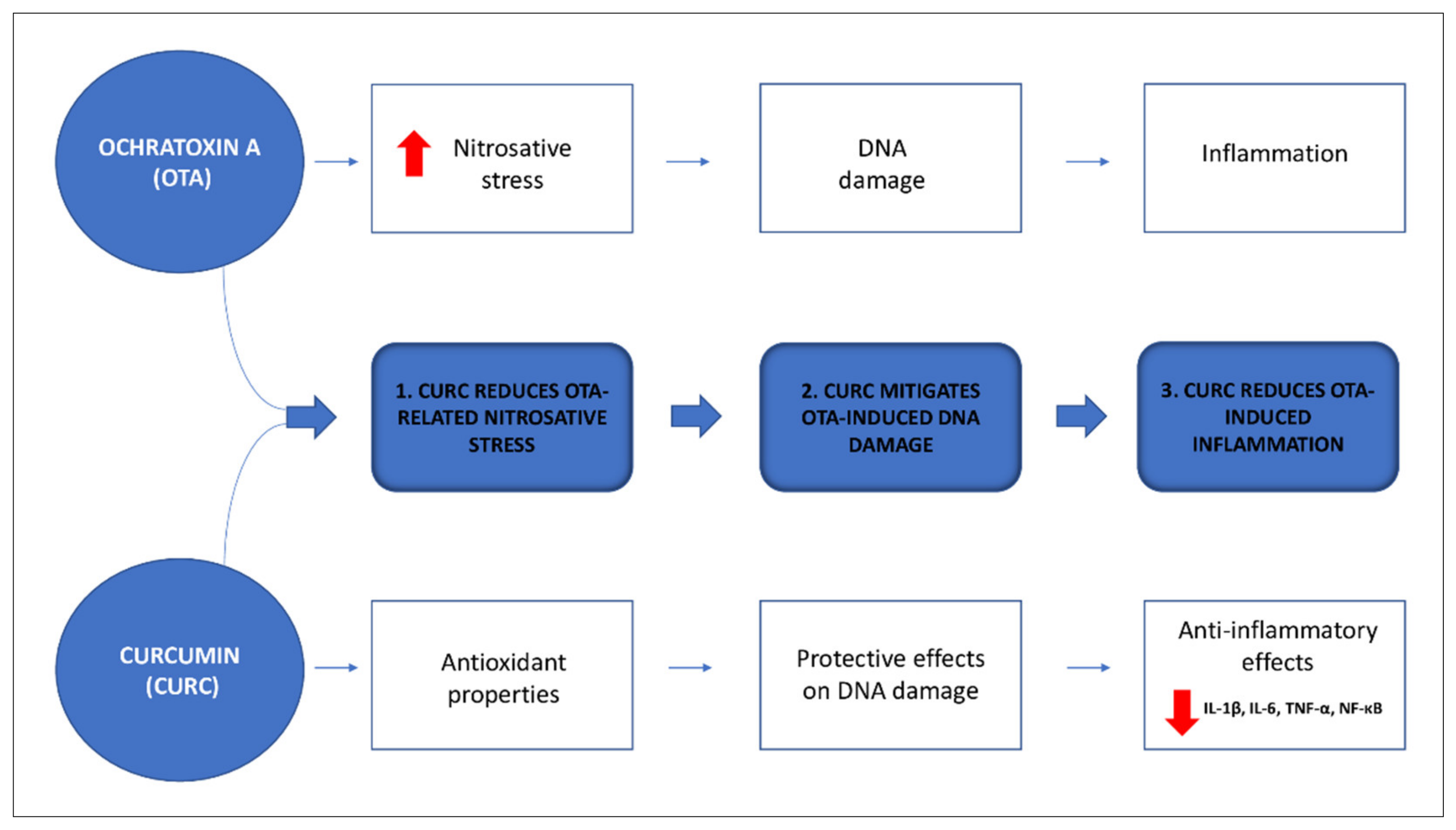 Antioxidants 10 01239 g001
