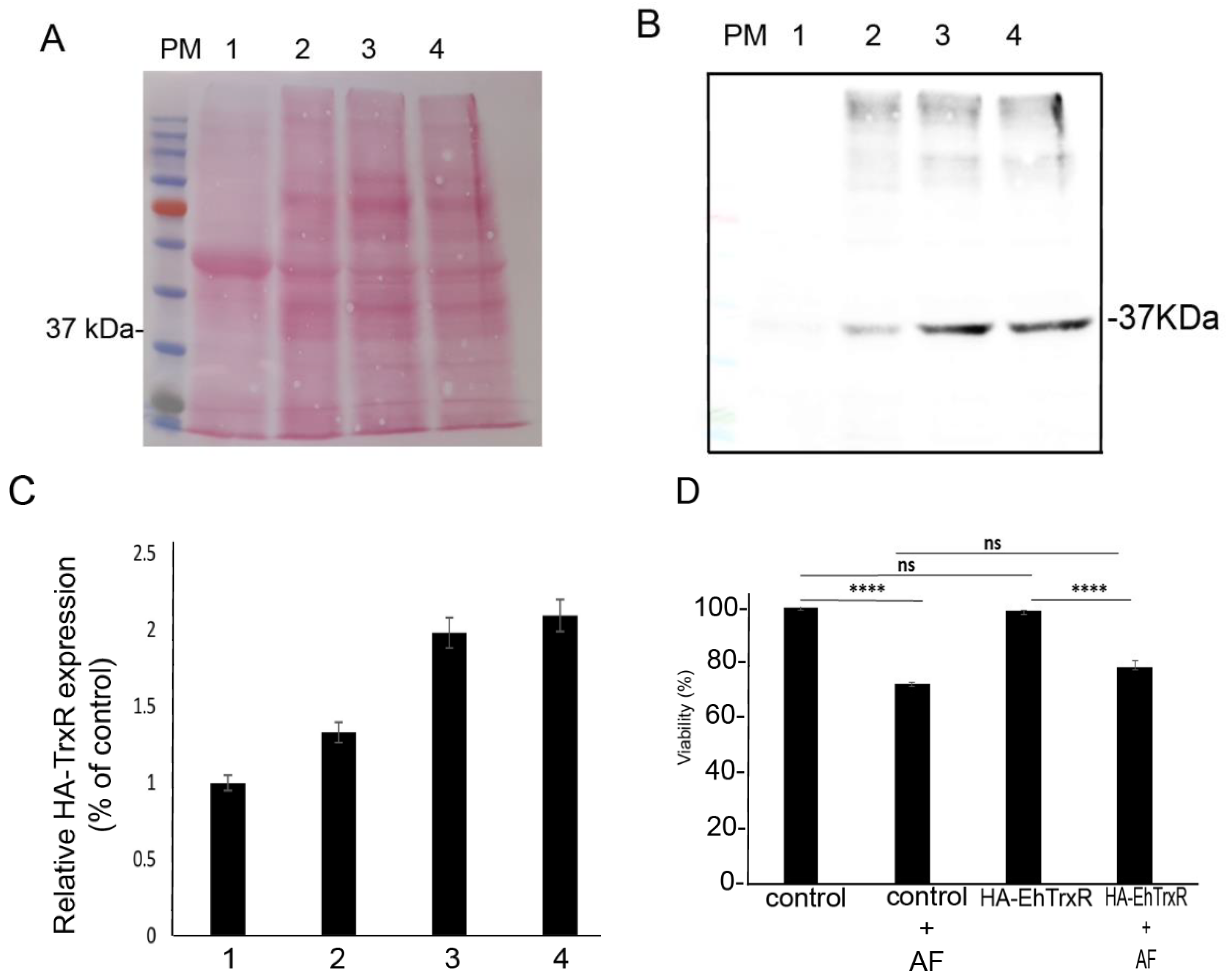 Antioxidants 10 01240 g006 Antioxidants 10 01240 g006