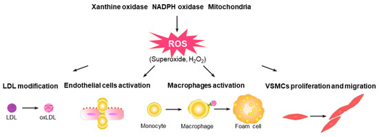 【yu】 Study of optical, magnetic, electronic, thermodynamic and