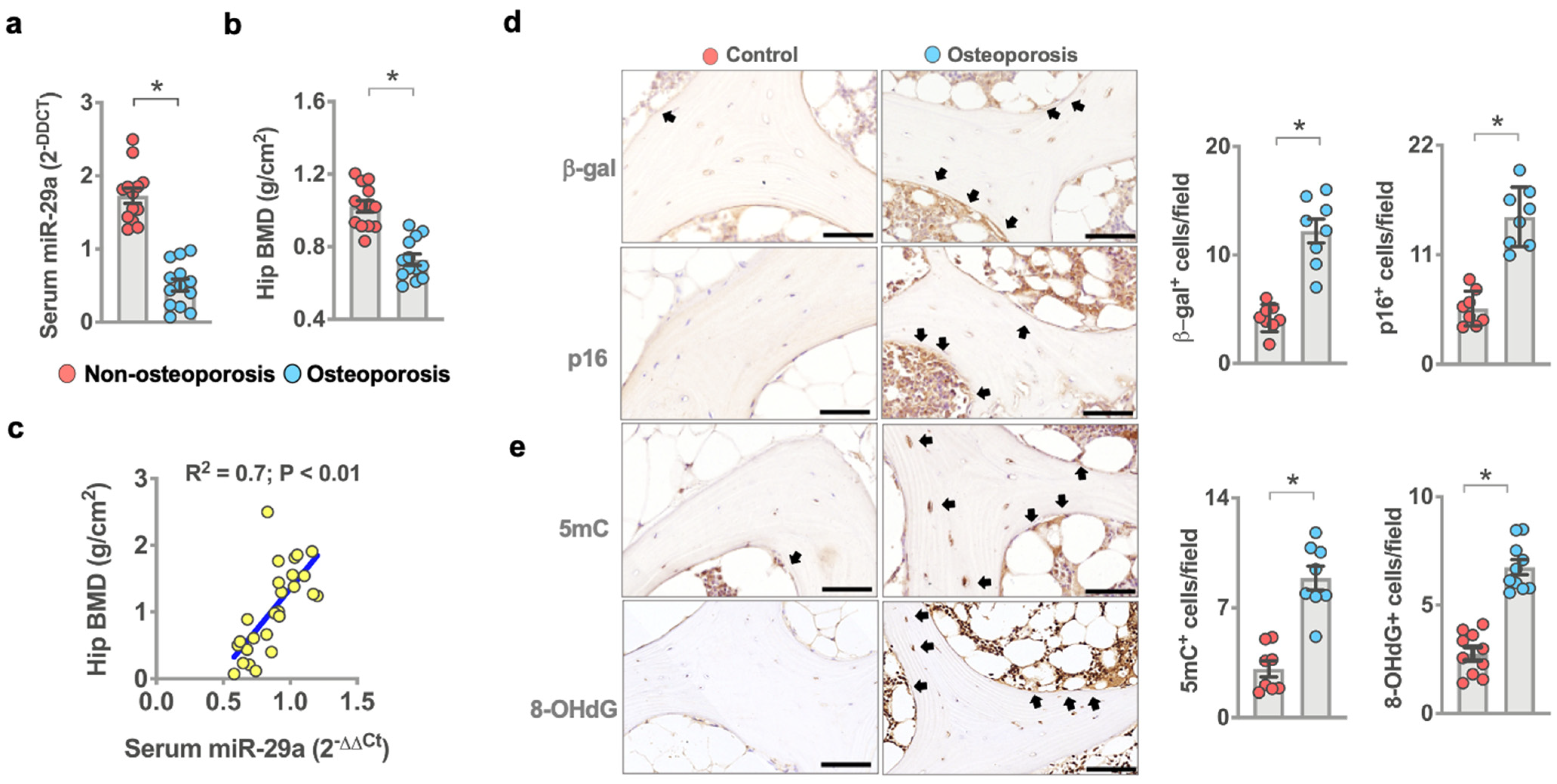 Antioxidants 10 01248 g001