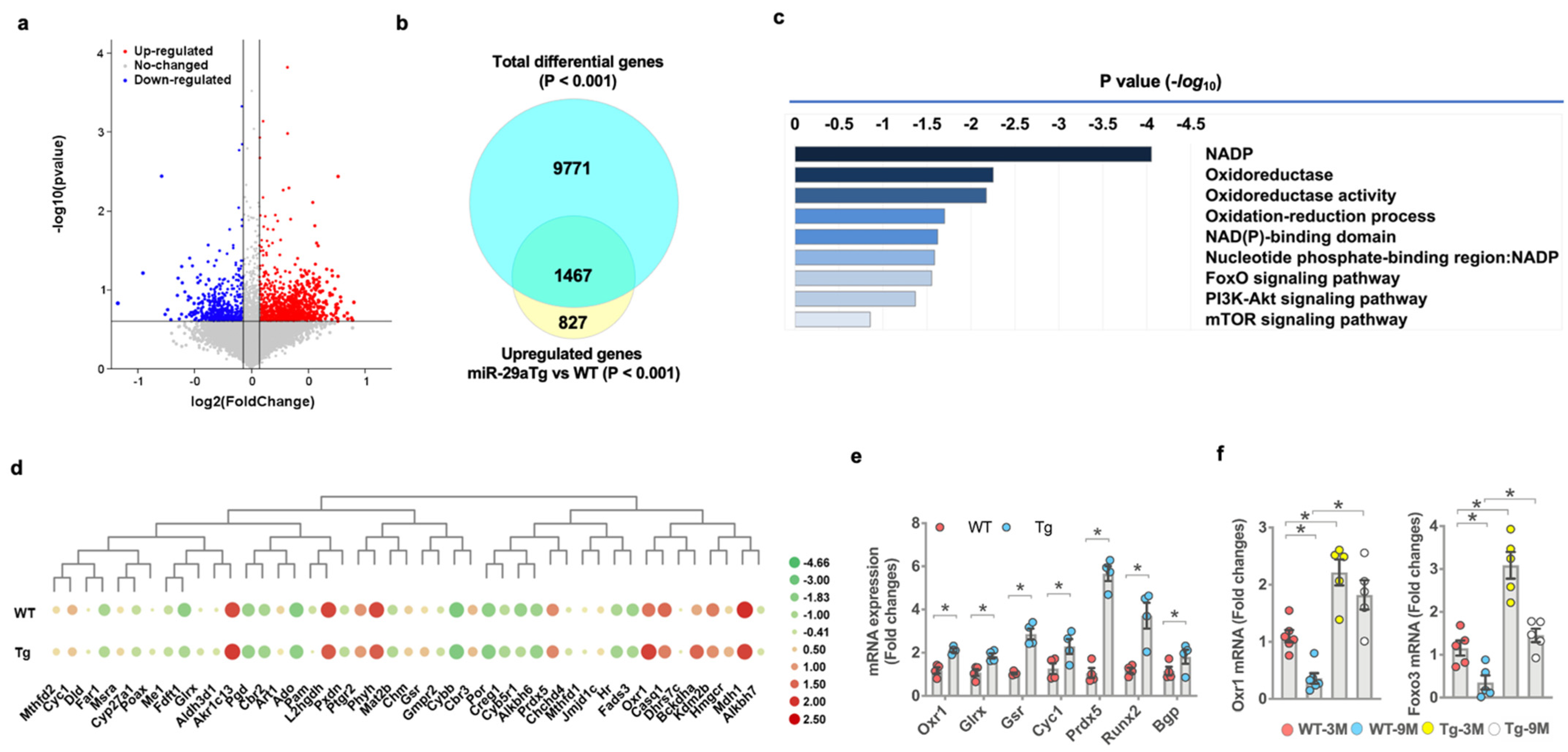 Antioxidants 10 01248 g005