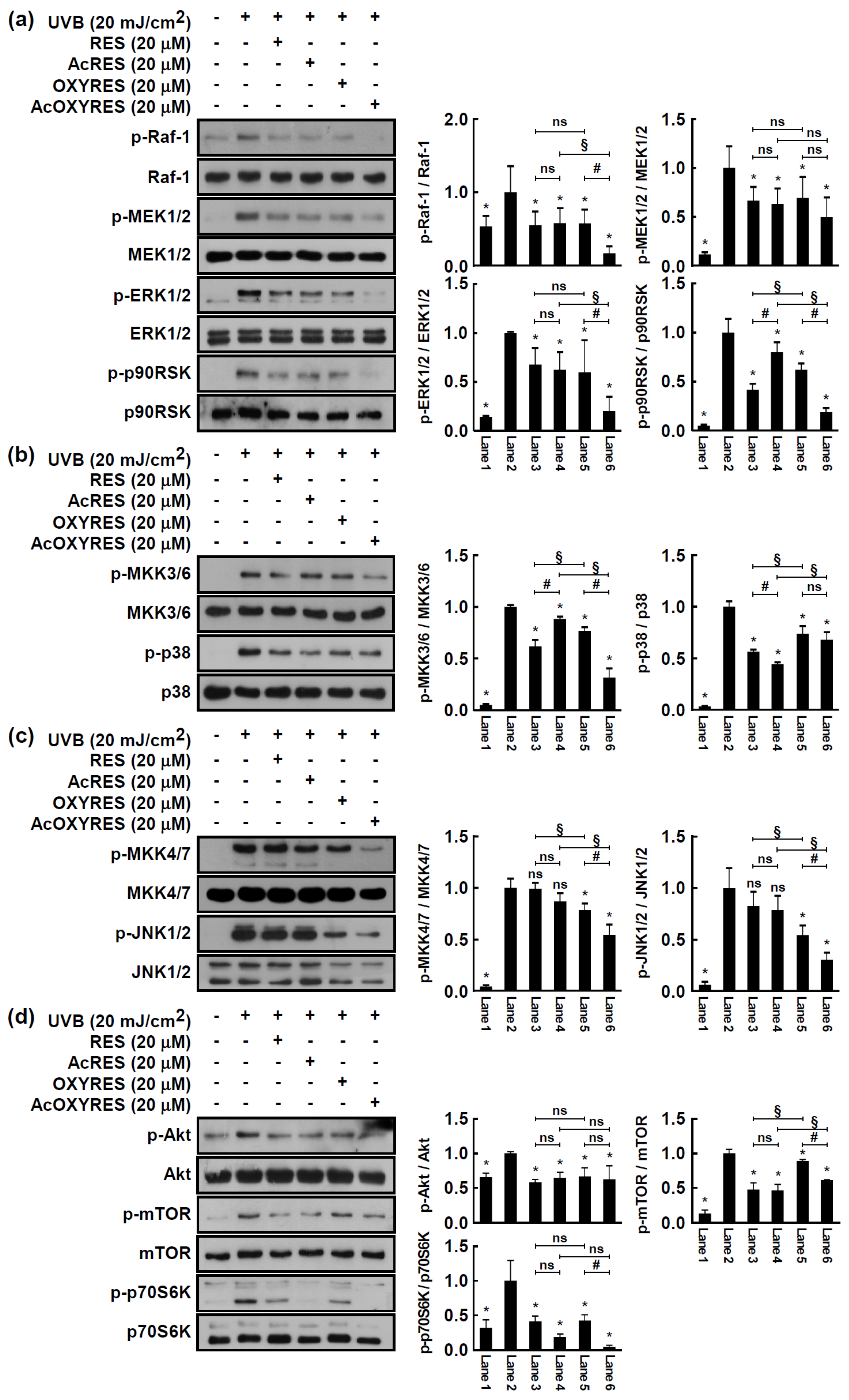 Antioxidants 10 01252 g006