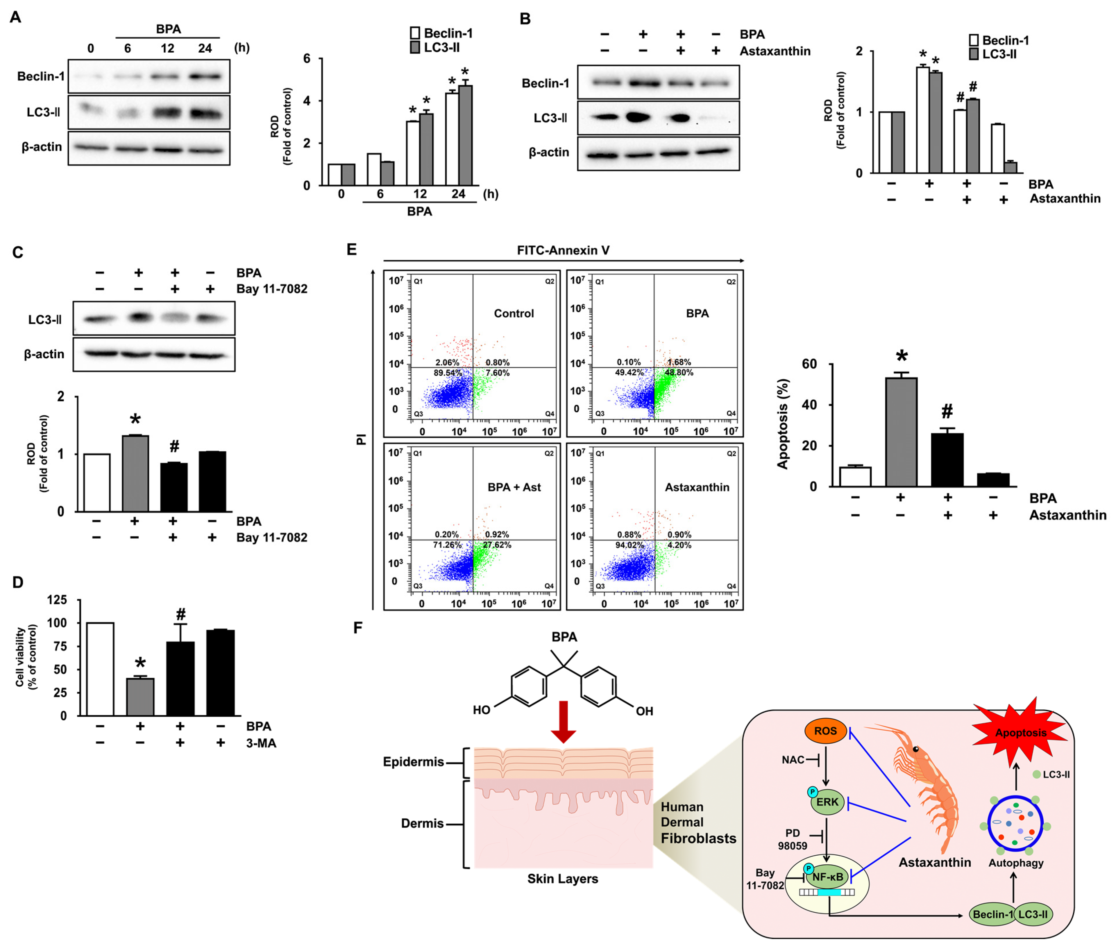Antioxidants 10 01273 g005