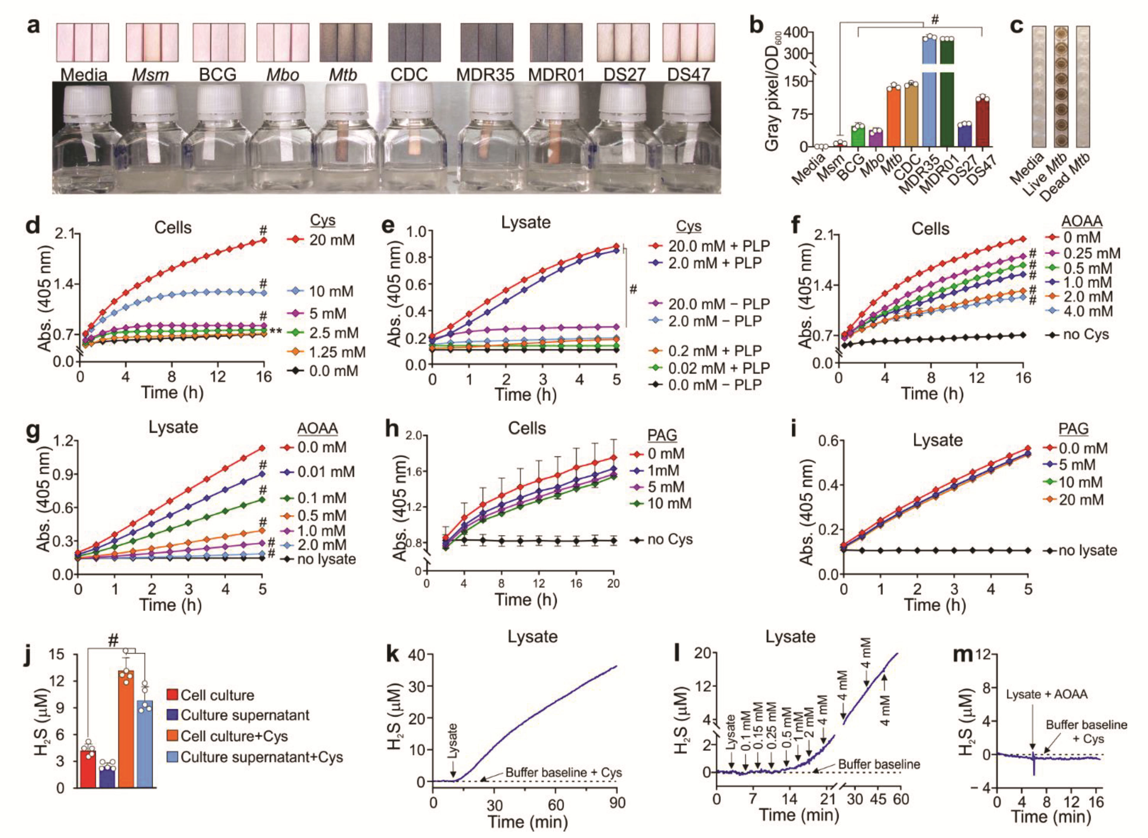 Antioxidants 10 01285 g001 550