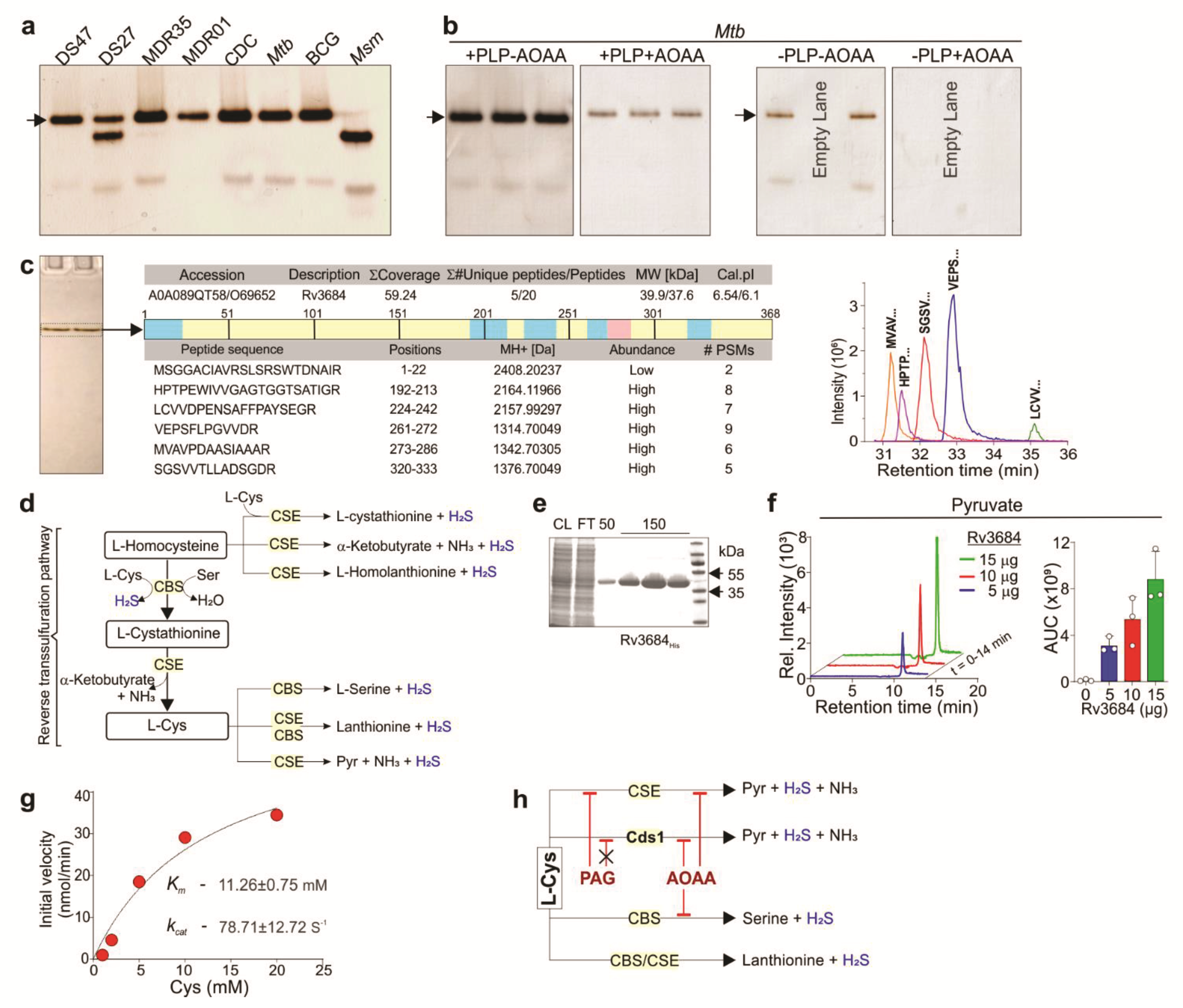 Antioxidants 10 01285 g002 550