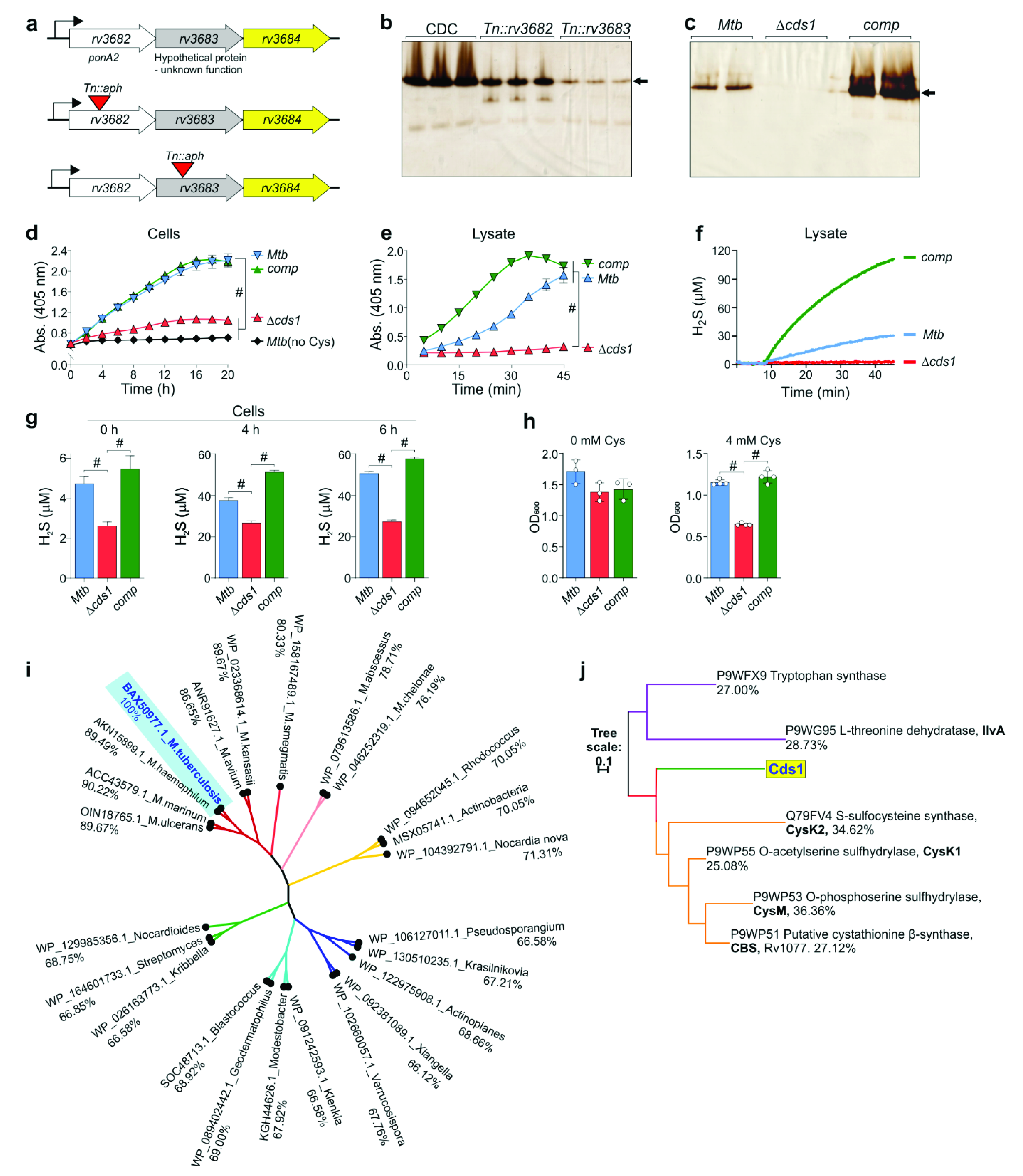 Antioxidants 10 01285 g003 550
