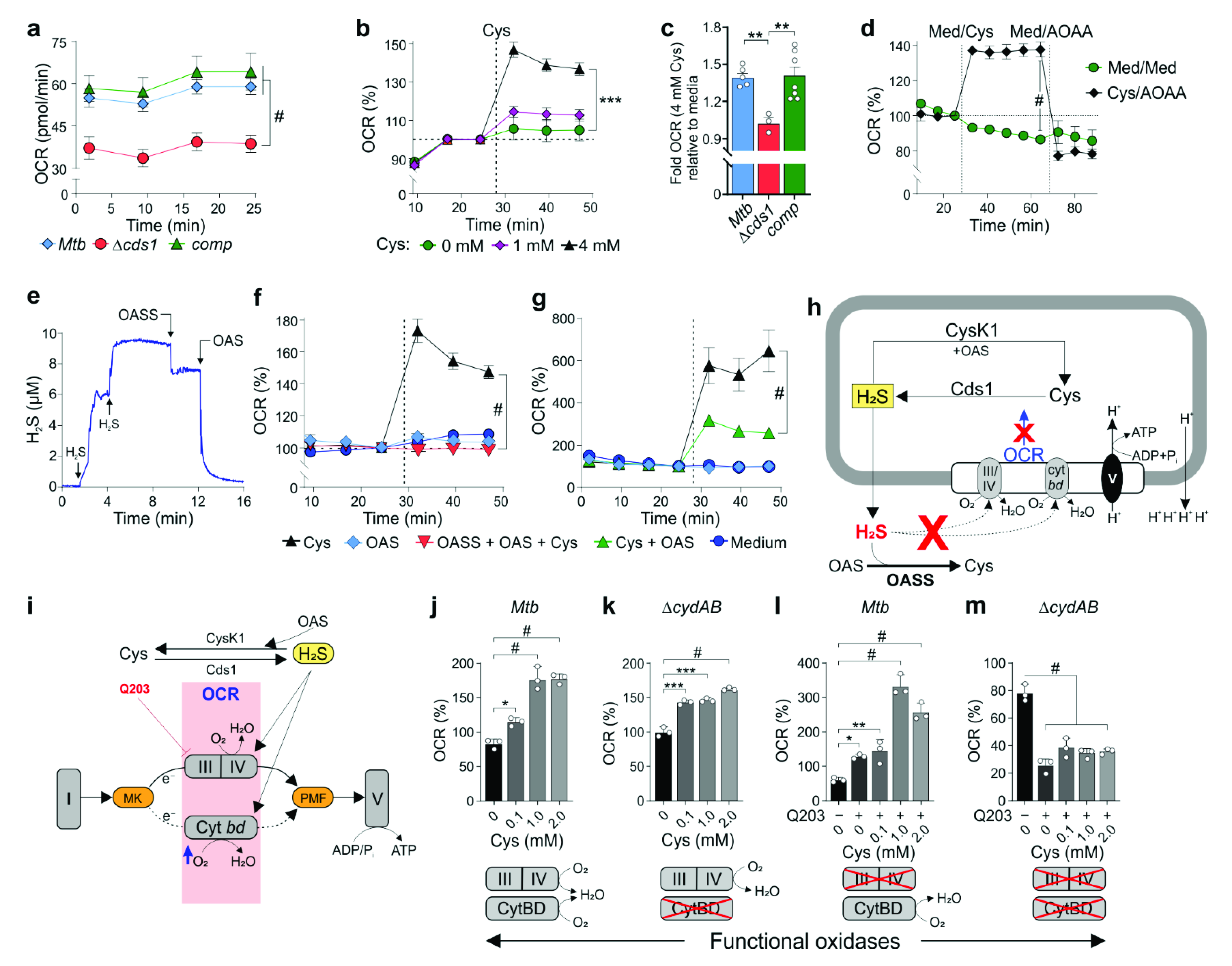 Antioxidants 10 01285 g005 550