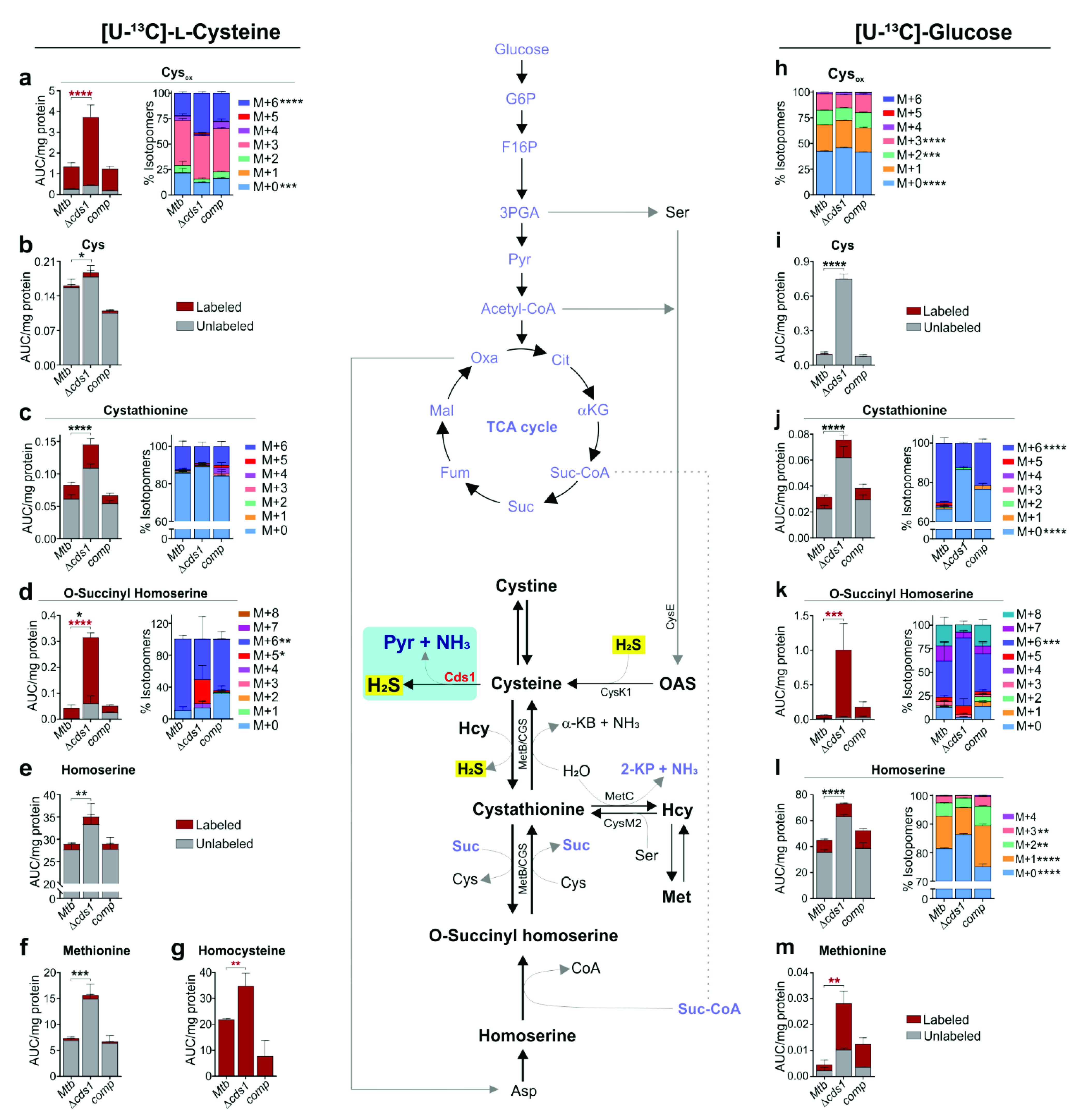 Antioxidants 10 01285 g006 550